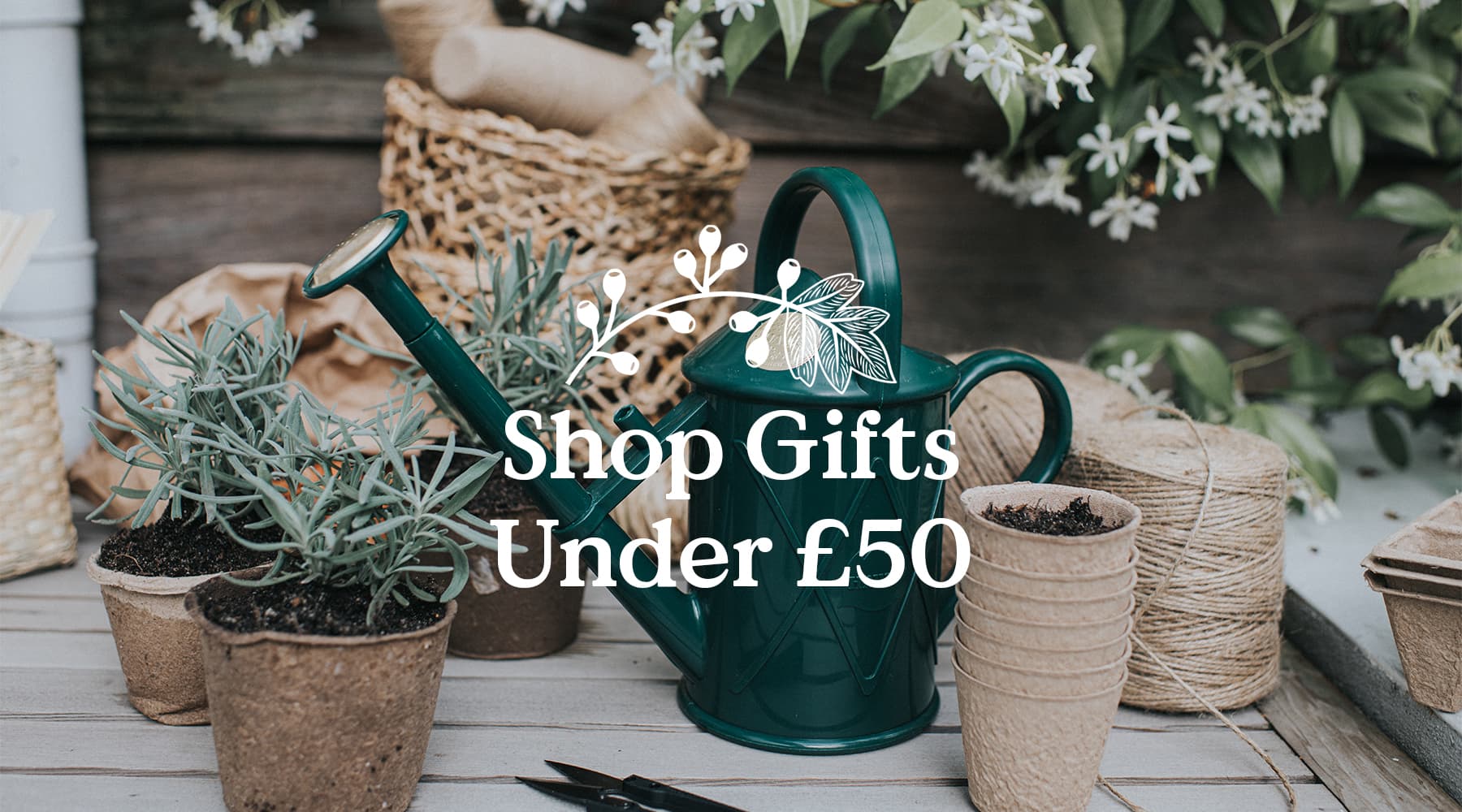 Gifts under £50