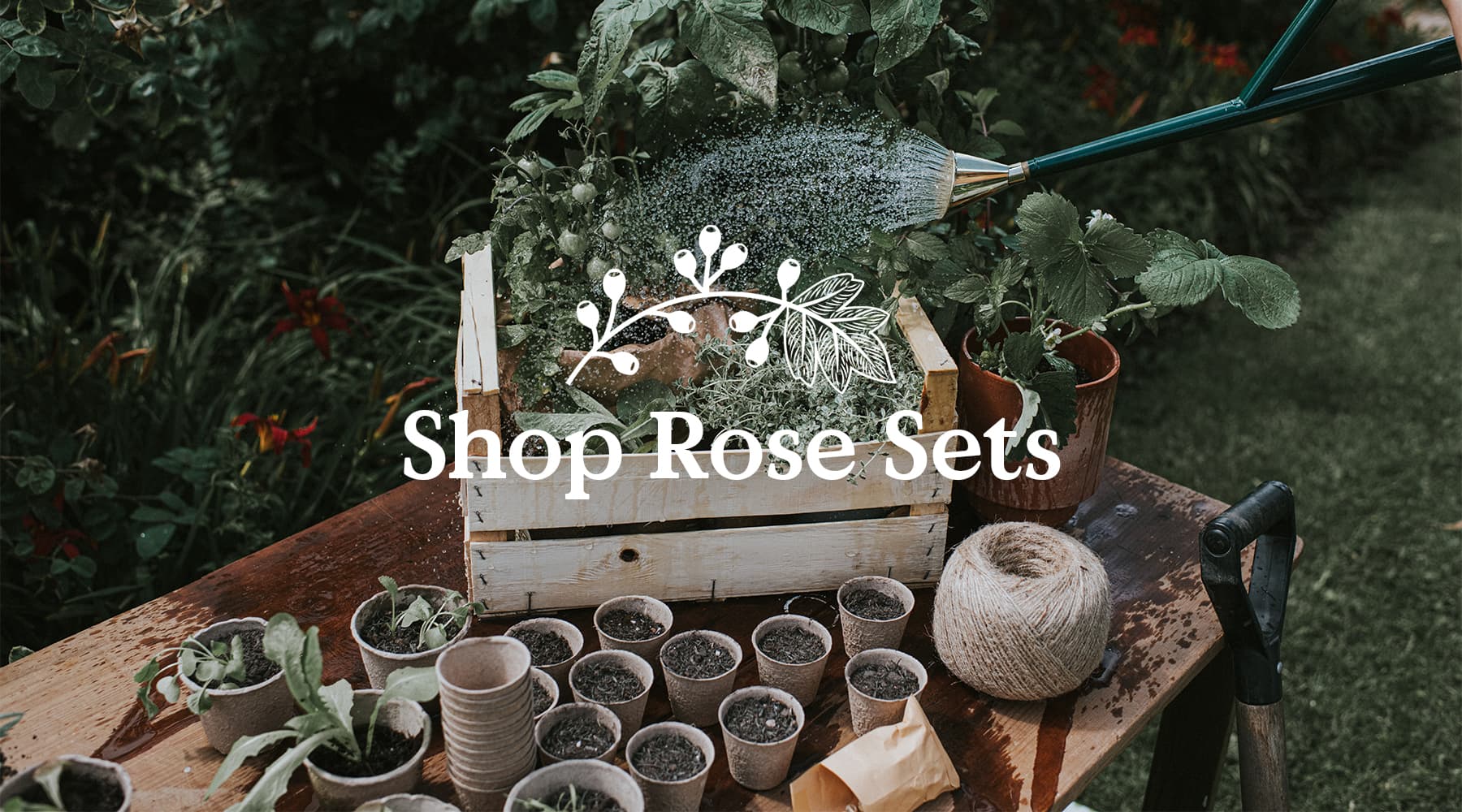 Rose Sets