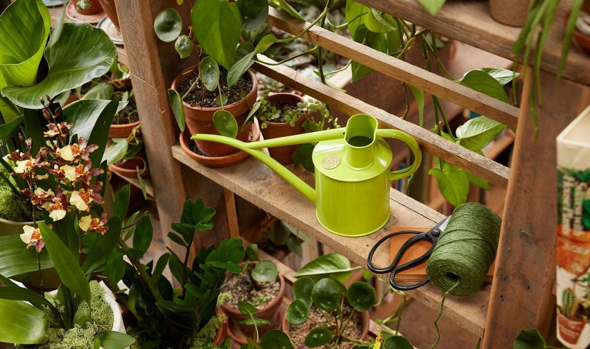 Green: nature's favourite shade (and ours too)