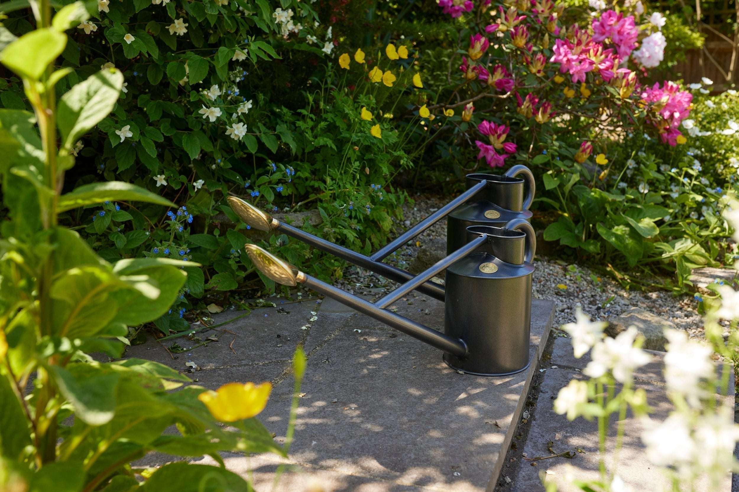 What to water: August