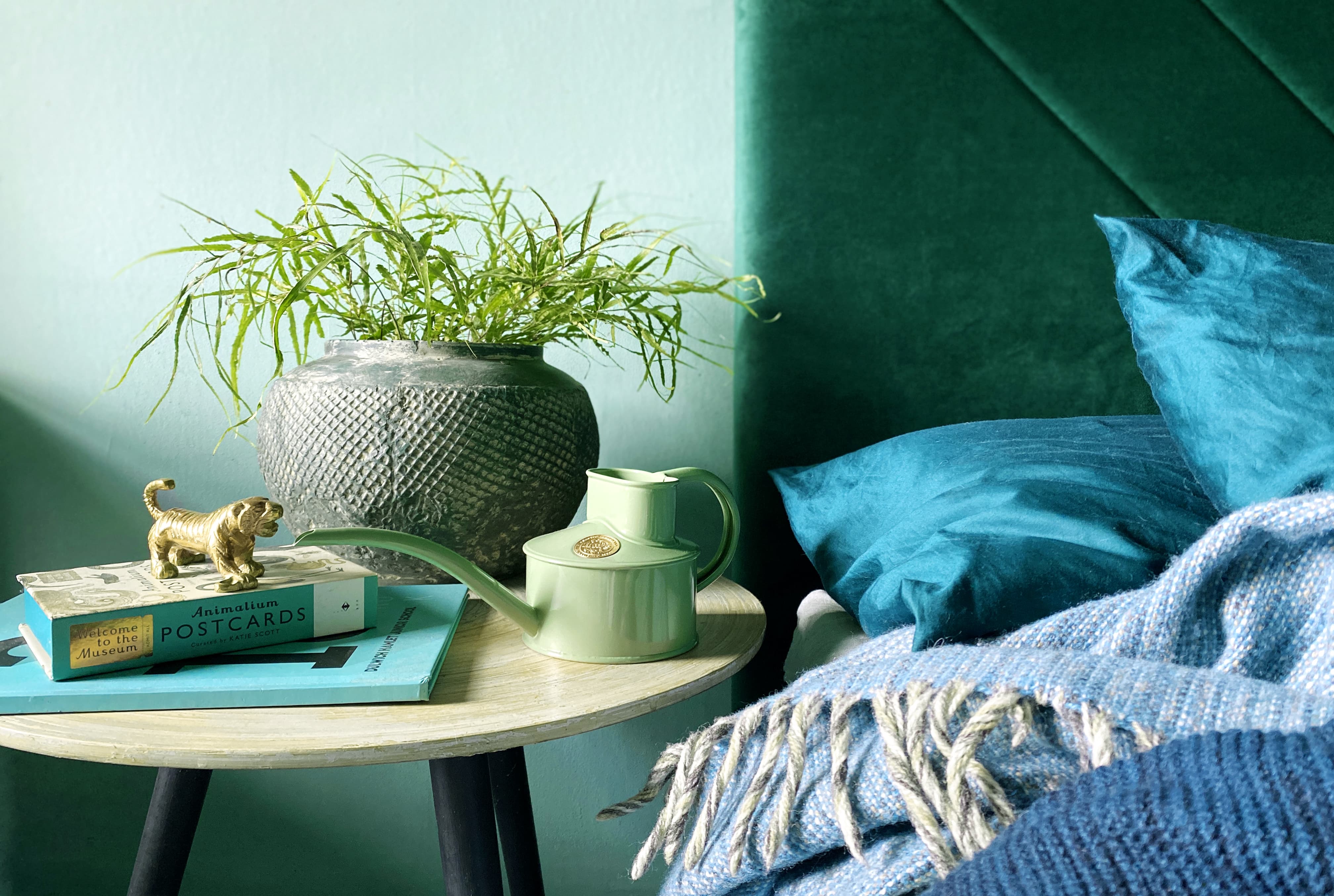 Adventures in real live plant care