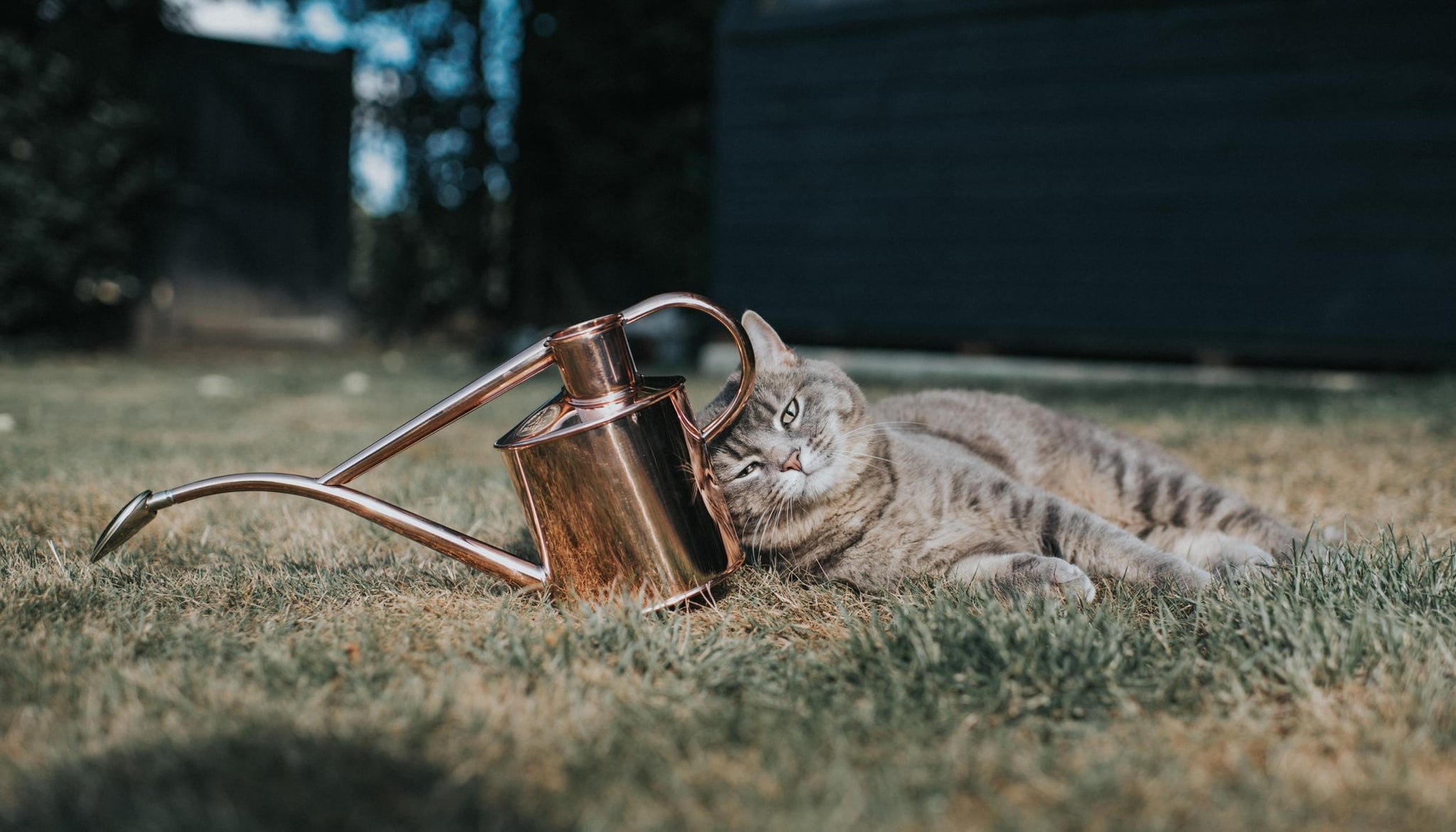 What to Water: September