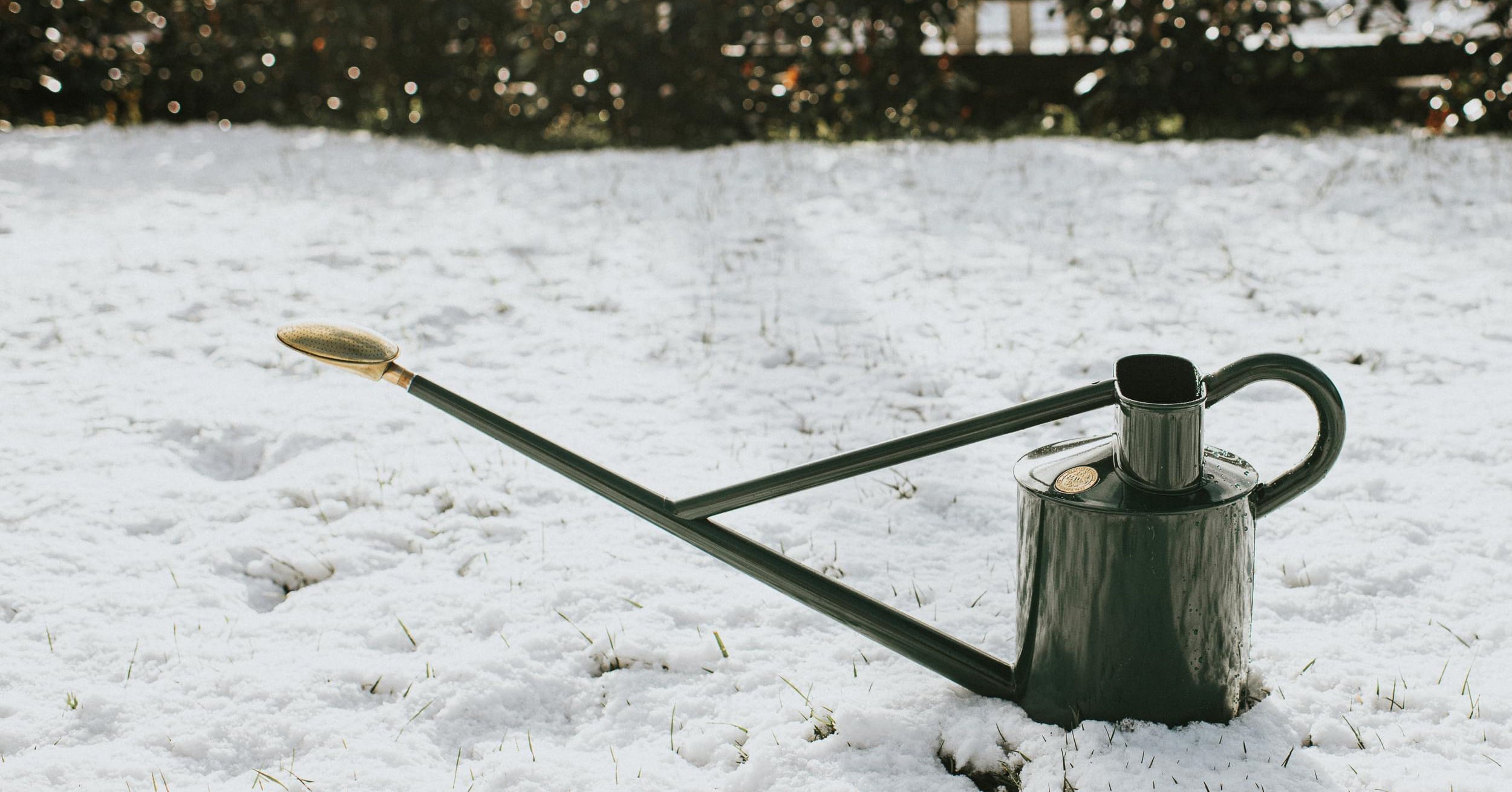 Three easy steps to prep your metal watering can for winter