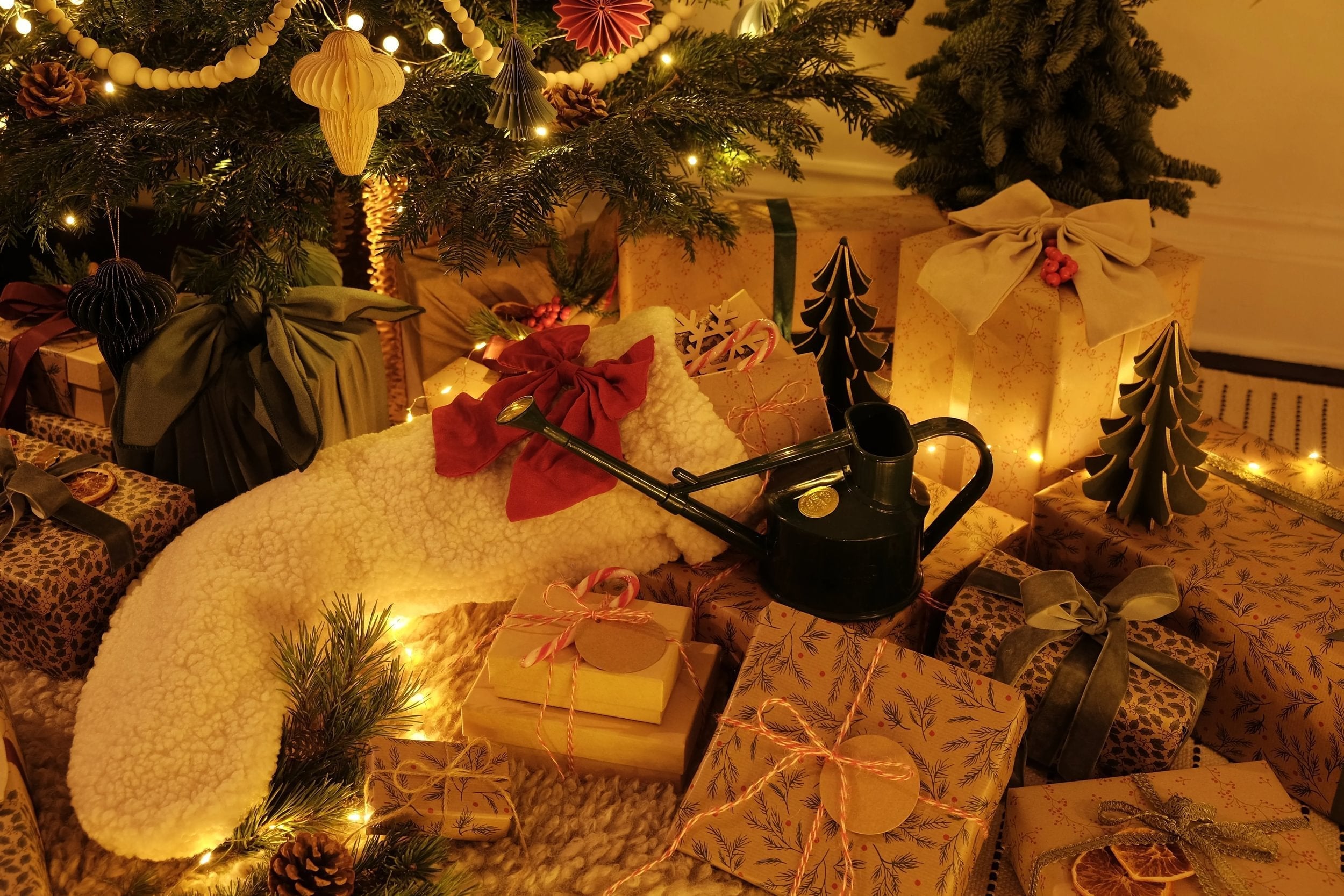 The perfect gifts for plant lovers