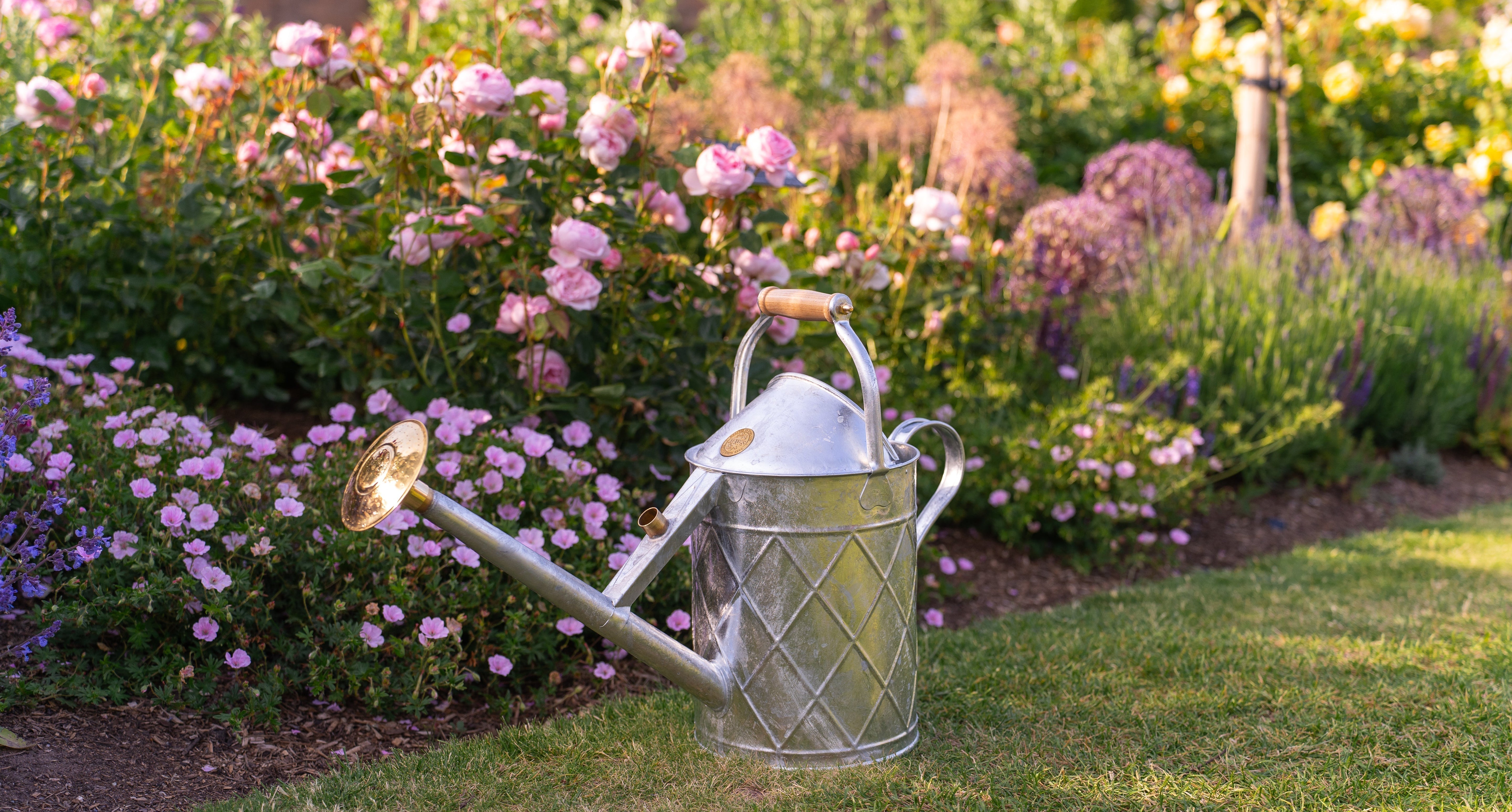 Haws Watering Cans x David Austin Roses Instagram giveaway terms & conditions August '25