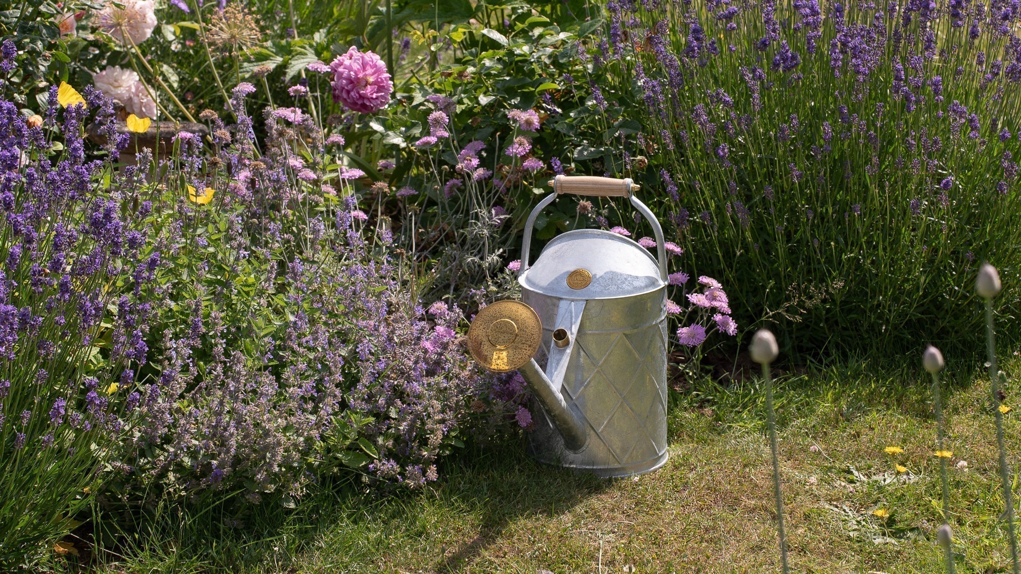 5 Essential Tips to Keep Your Garden Happy in a Heatwave