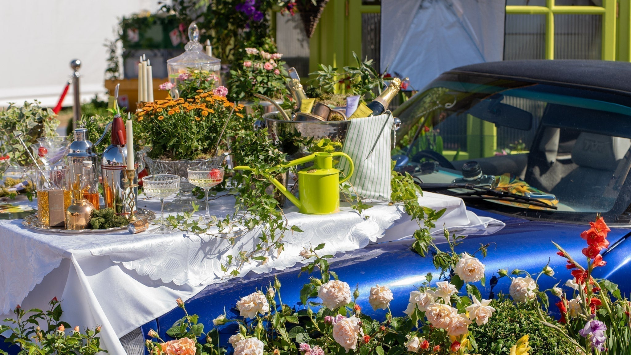 From supporting role to star of the show: Haws at RHS Hampton Court 2025