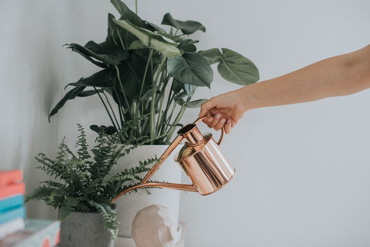 Pour one out for the plant dads!