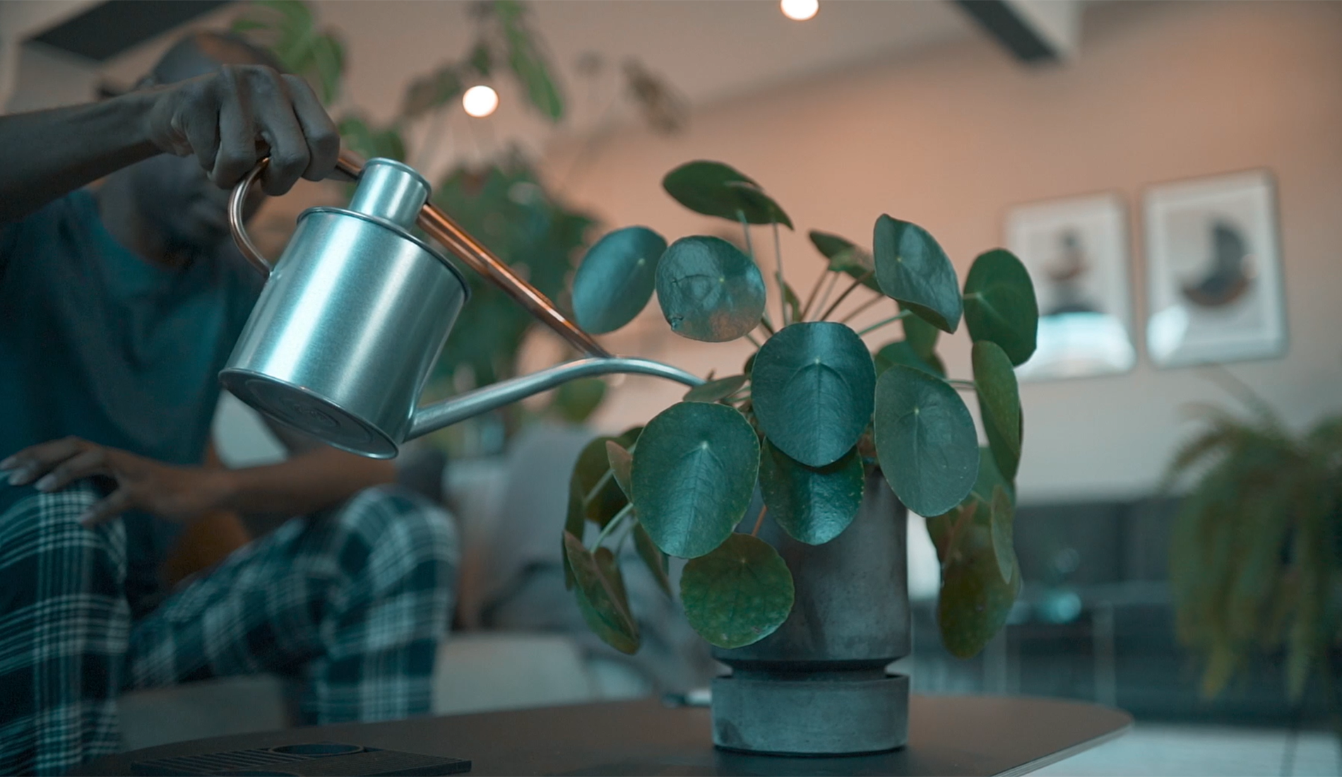 Meet the Fazeley Flow