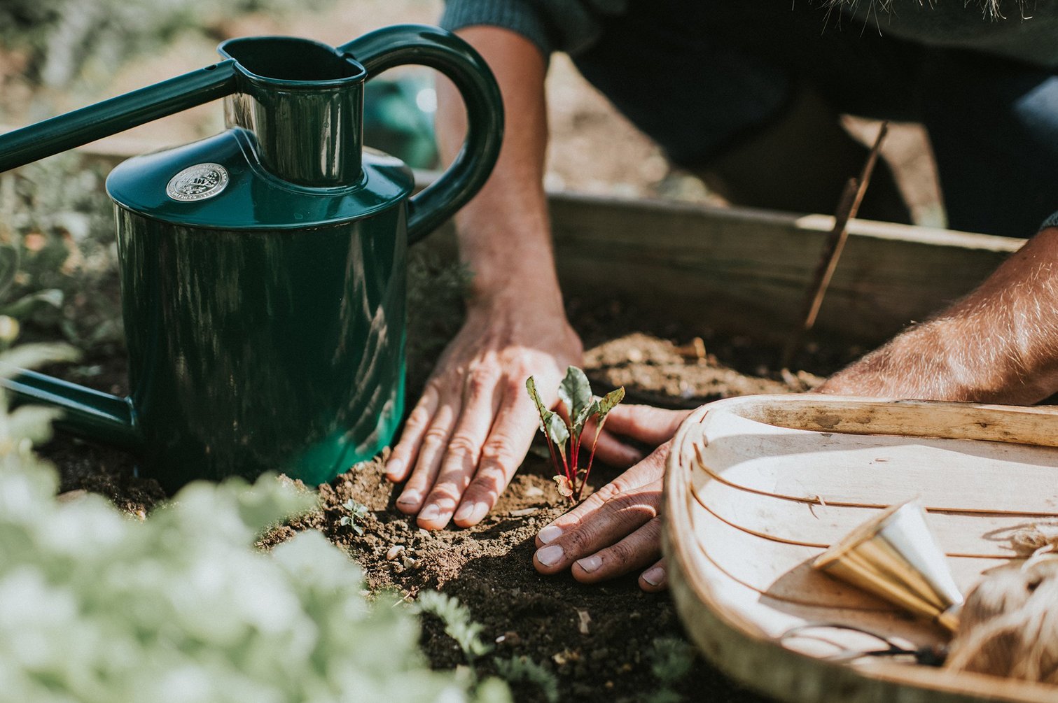 Grow Your Own - Part 4