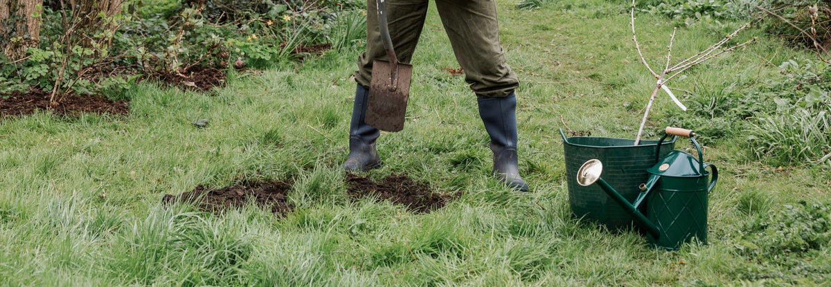 Get ready for the best planting time of the year: bare root season