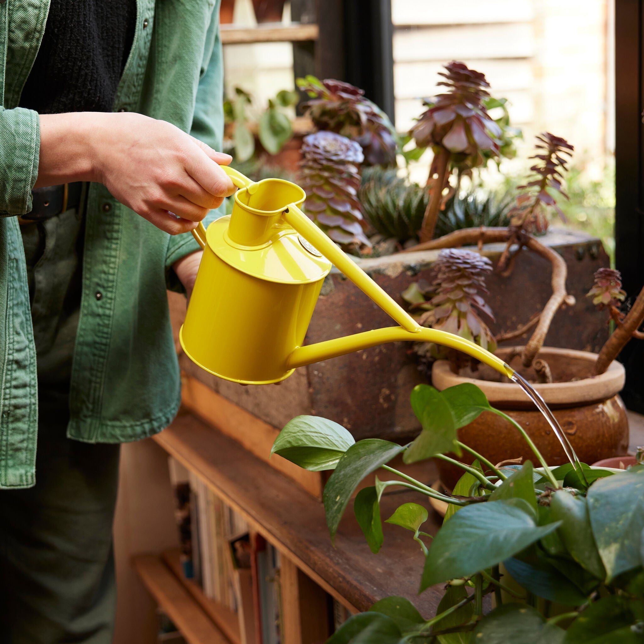 Curved spout watering cans
