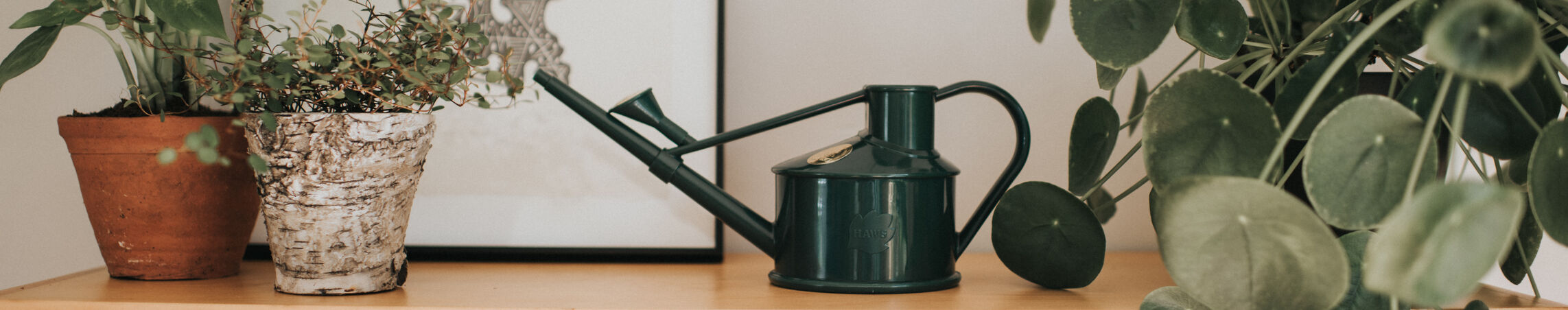 The Langley Sprinkler
