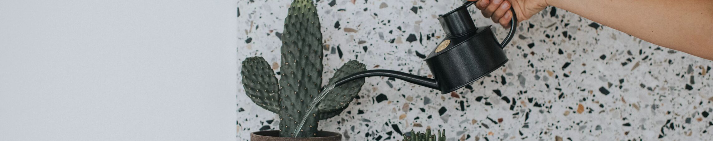 Indoor Steel Watering Cans
