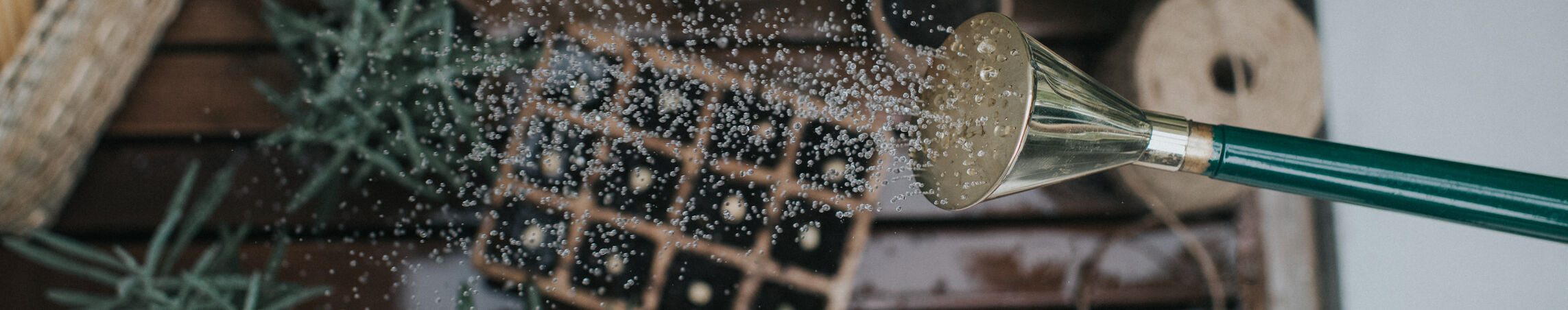 The Technical Gardener
