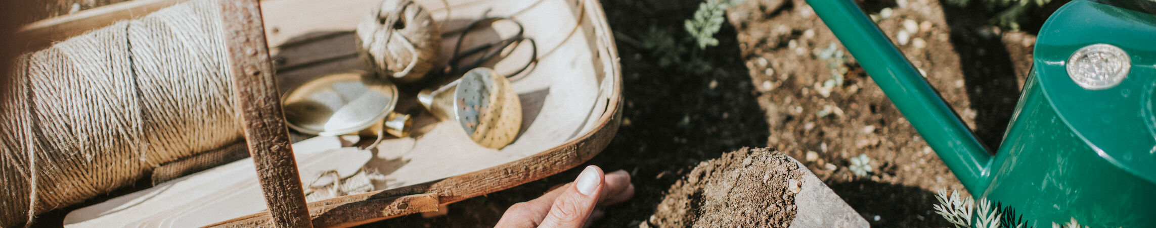 Watering Can and Rose Sets
