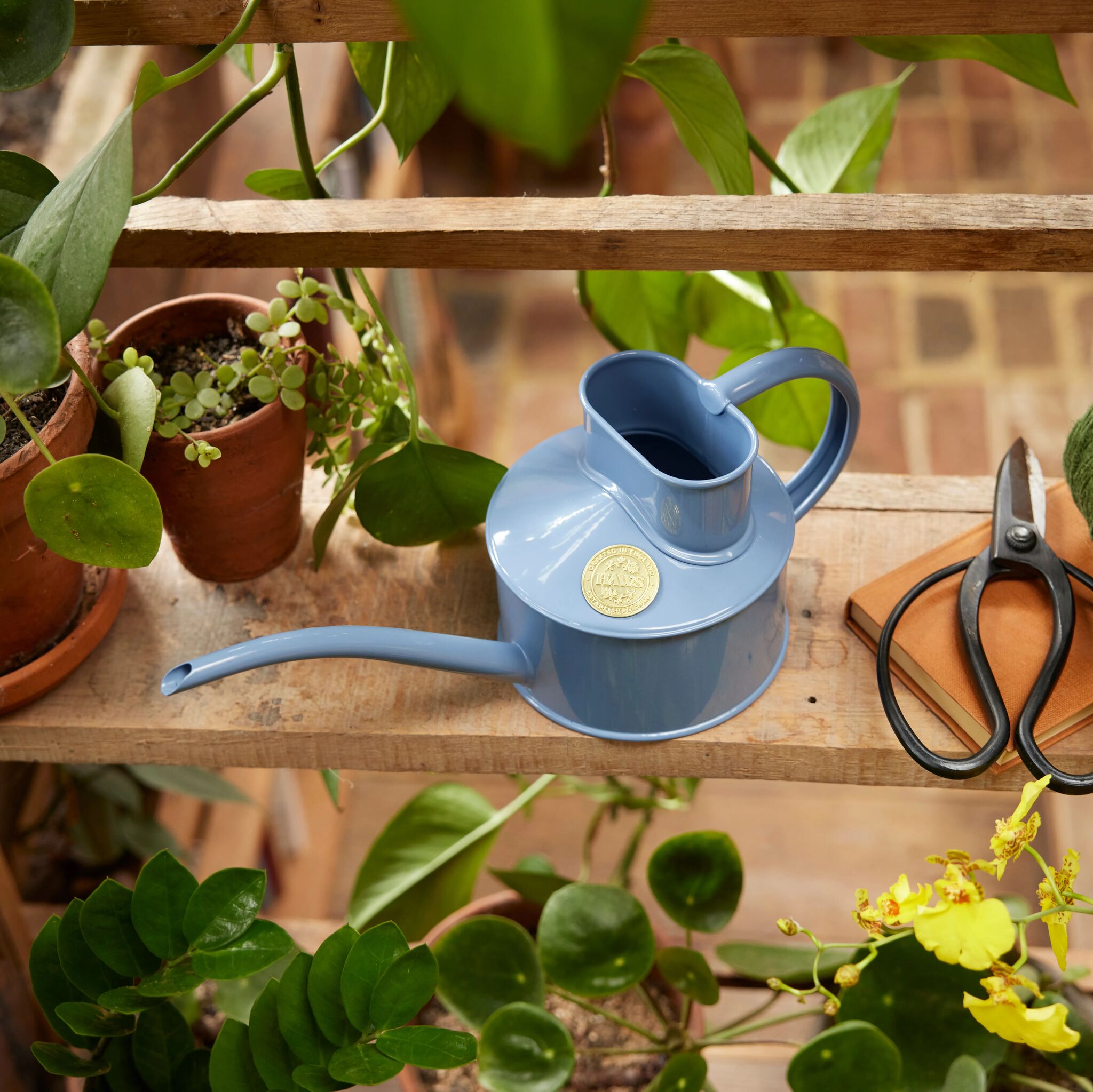 The Fazeley Flow - Bluebell Meadow - One Pint