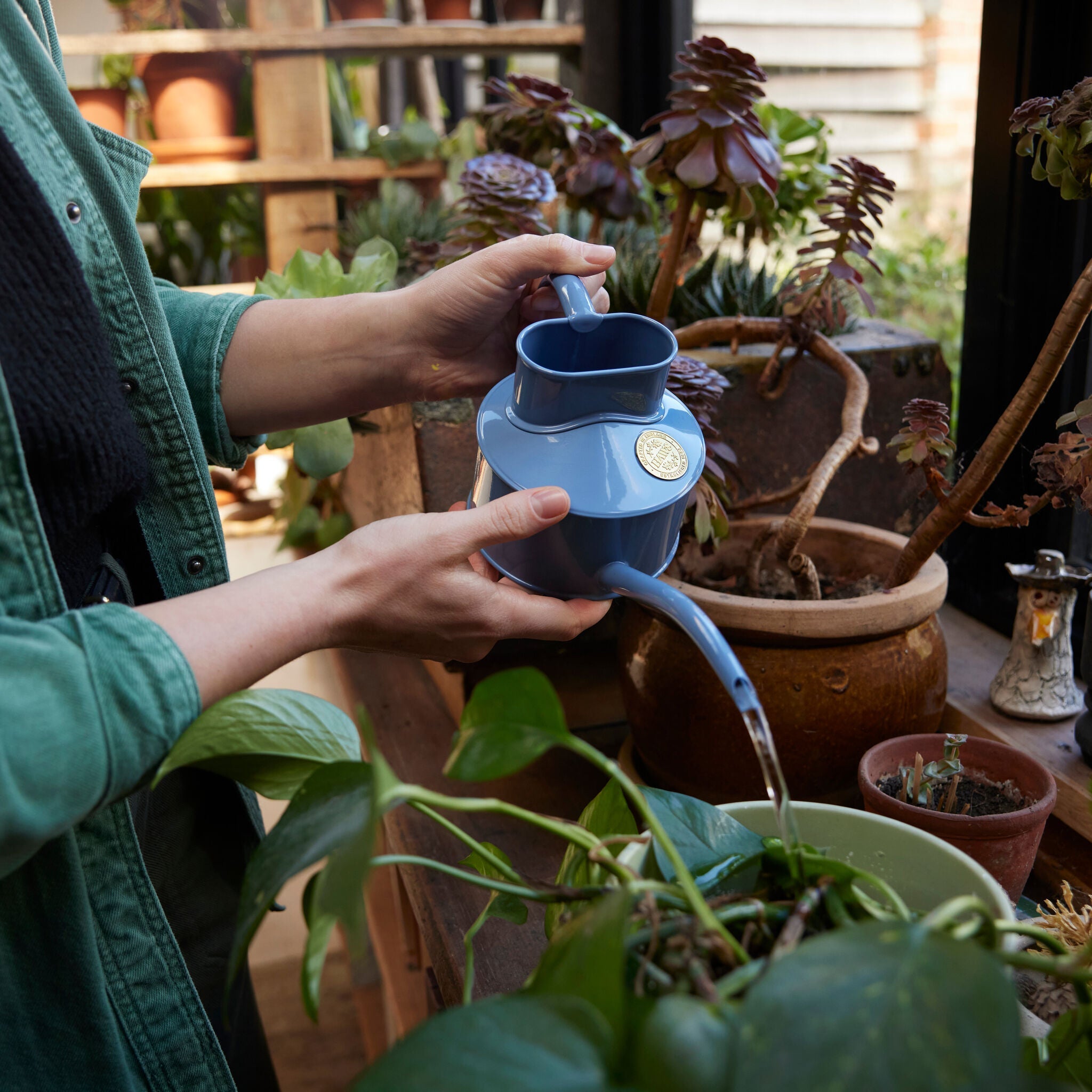 The Fazeley Flow - Bluebell Meadow - One Pint