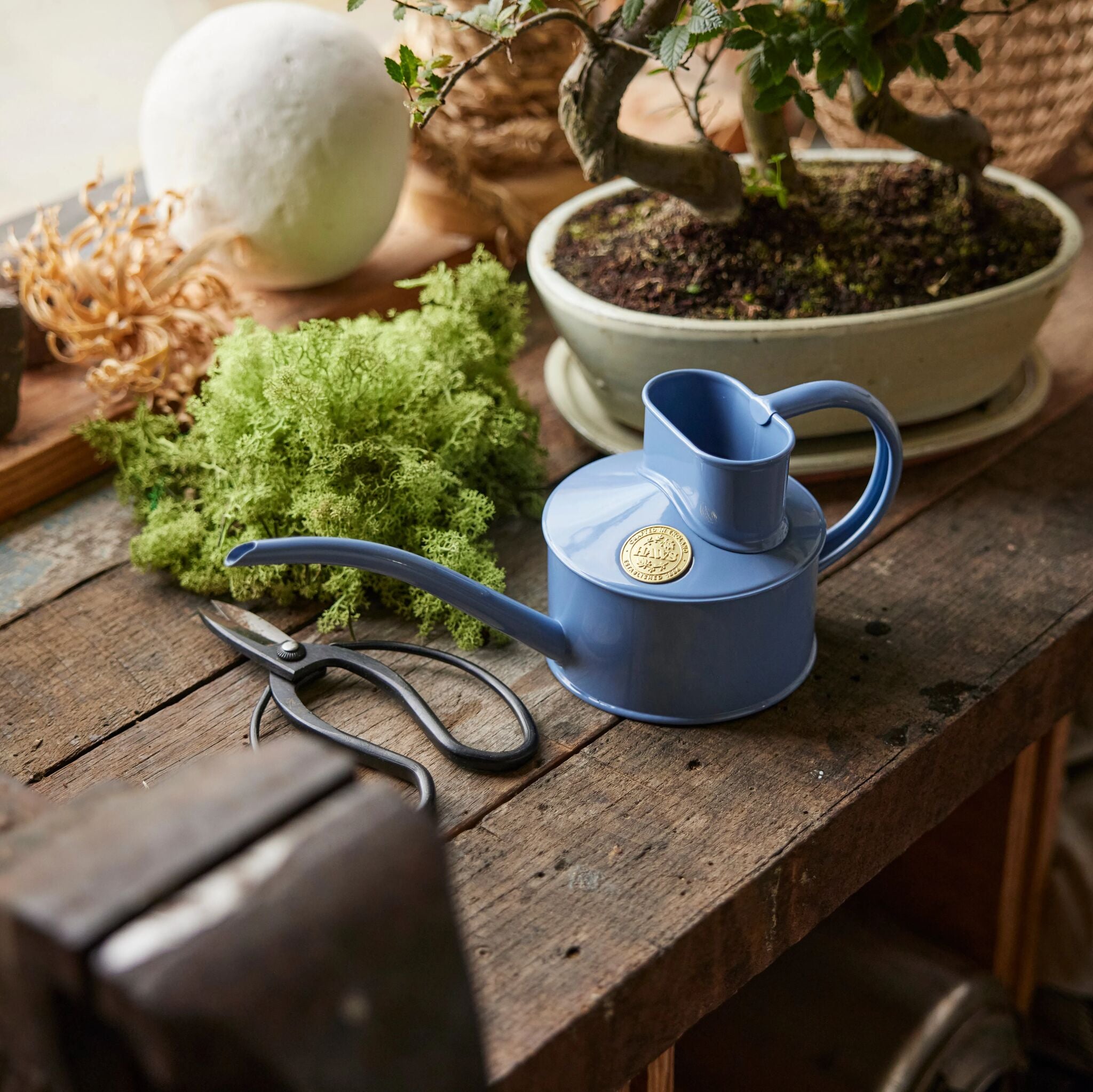 The Fazeley Flow - Bluebell Meadow - One Pint