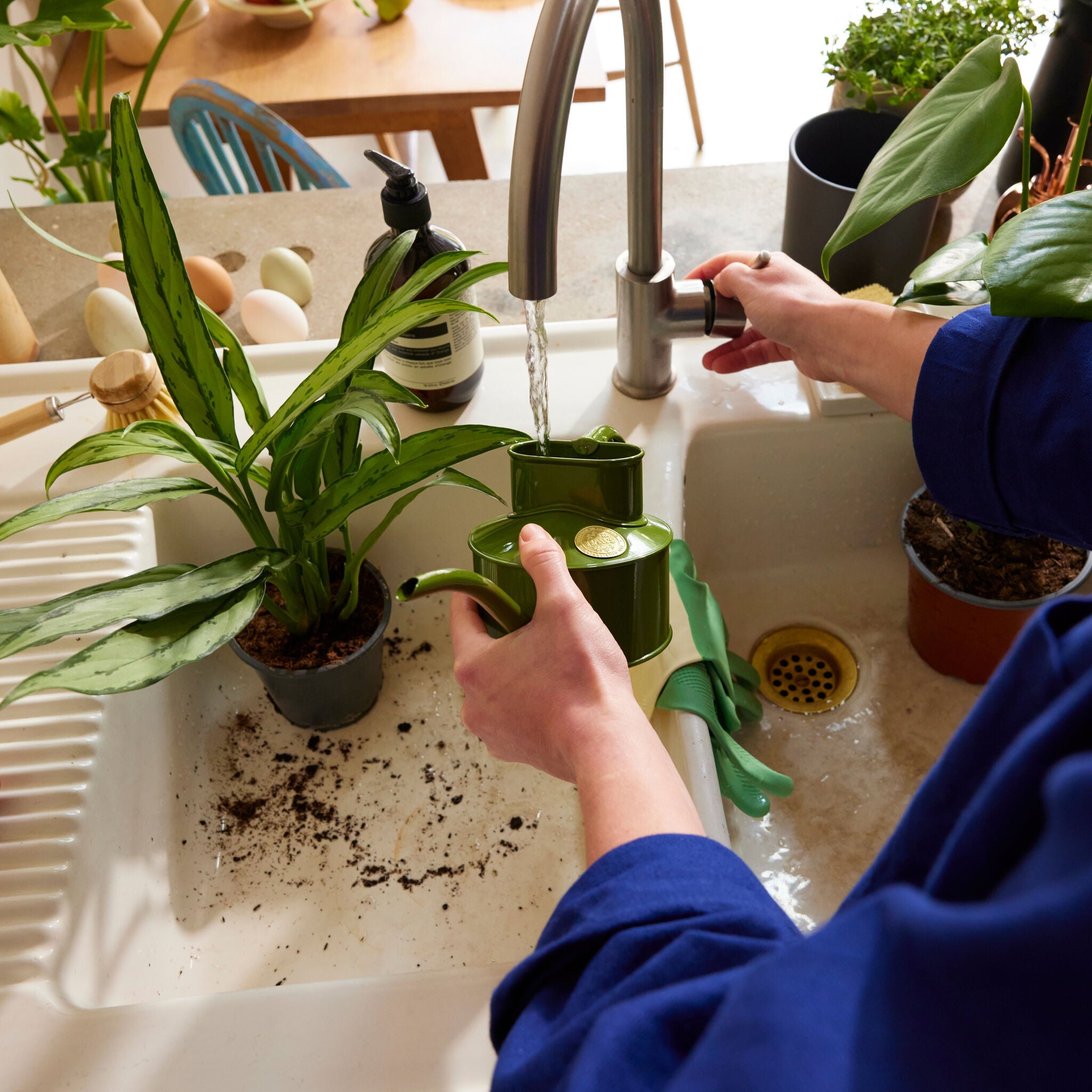 The Fazeley Flow Fern Green - One Pint