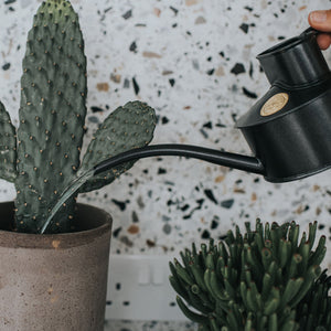 The Fazeley Flow Graphite - One Pint