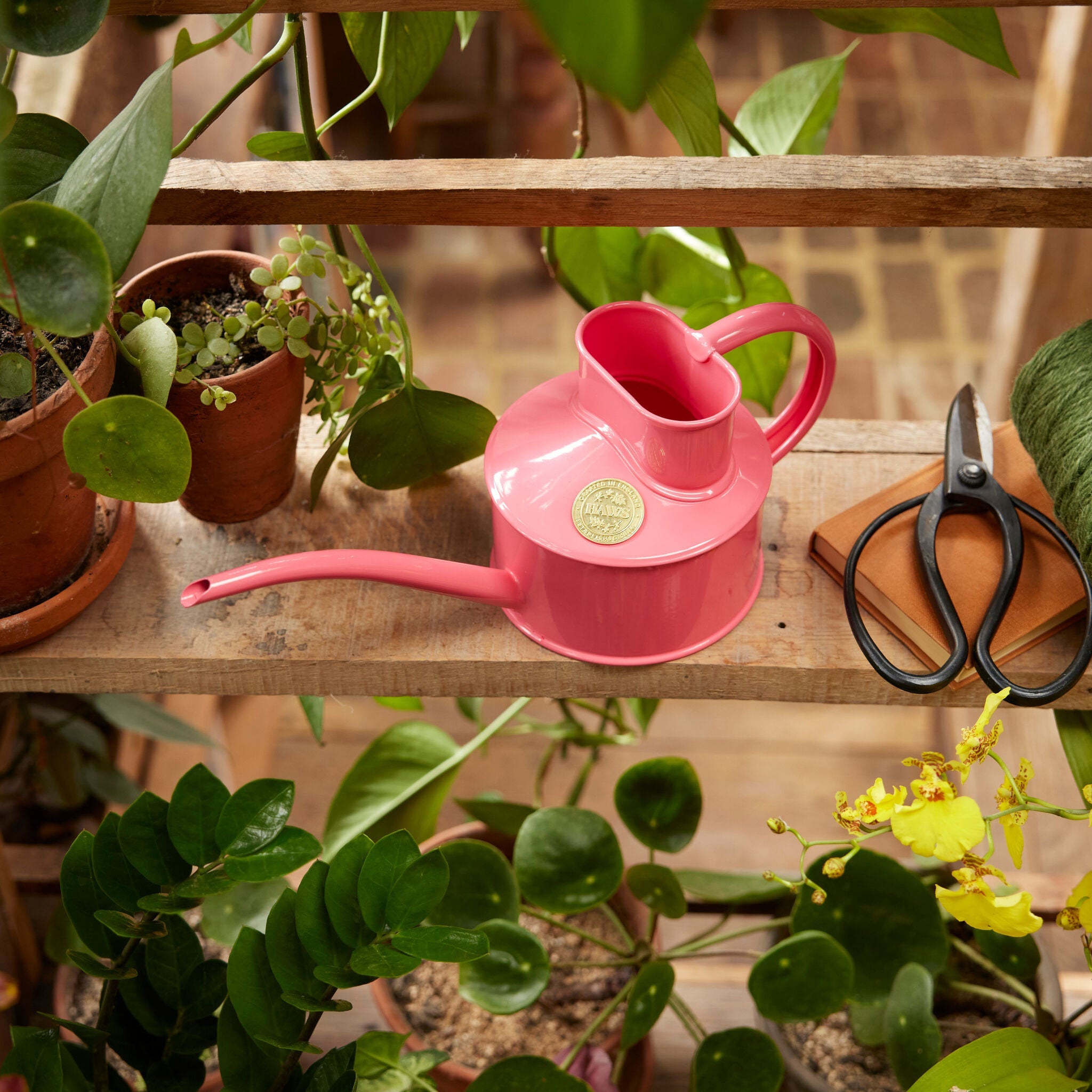 The Fazeley Flow Peppercorn Pink - One Pint