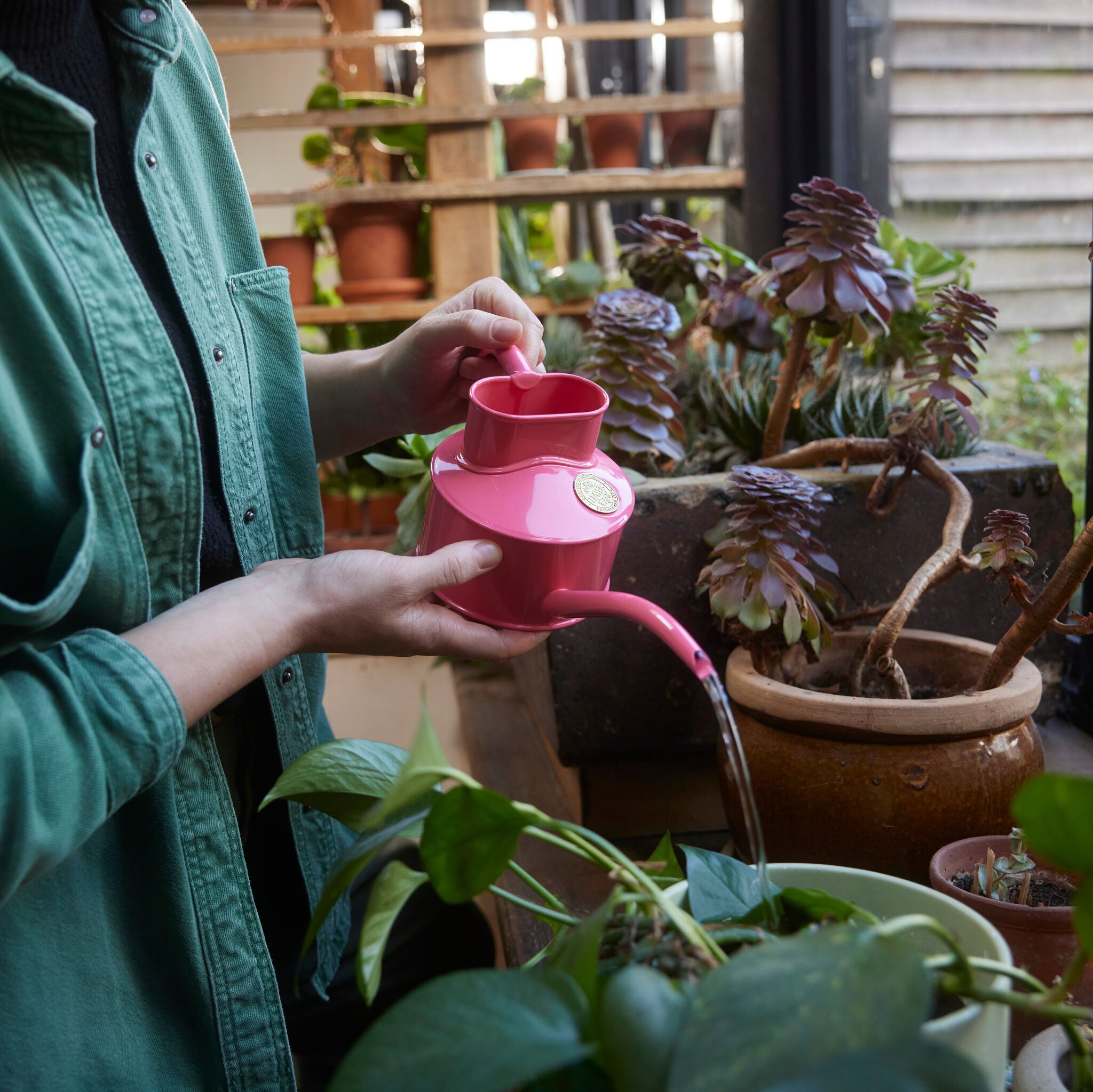 The Fazeley Flow Peppercorn Pink - One Pint