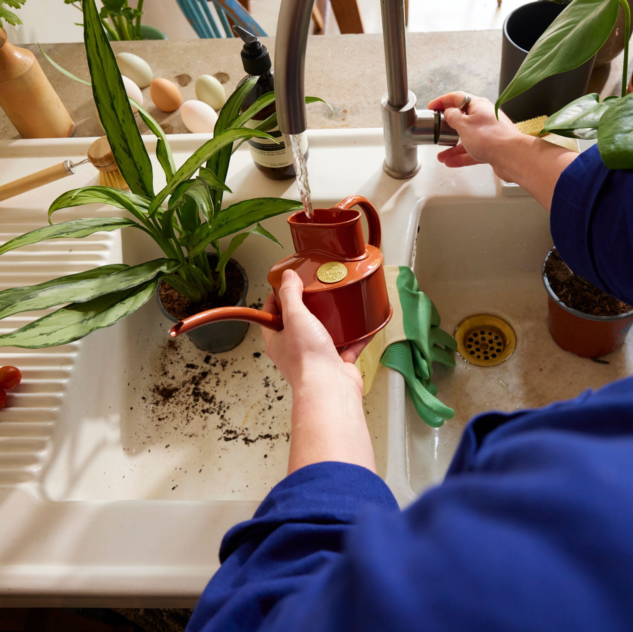 The Fazeley Flow Terracotta Orange - One Pint