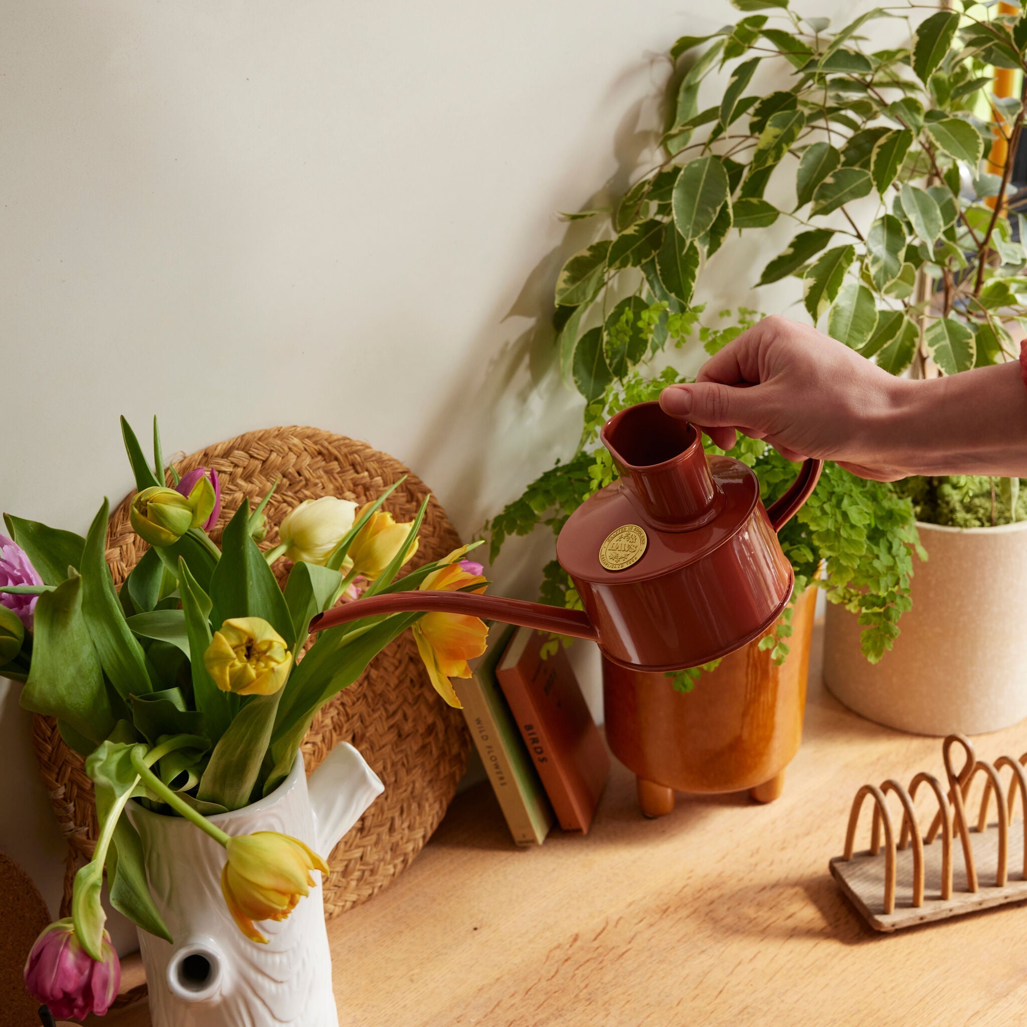 The Fazeley Flow Terracotta Orange - One Pint