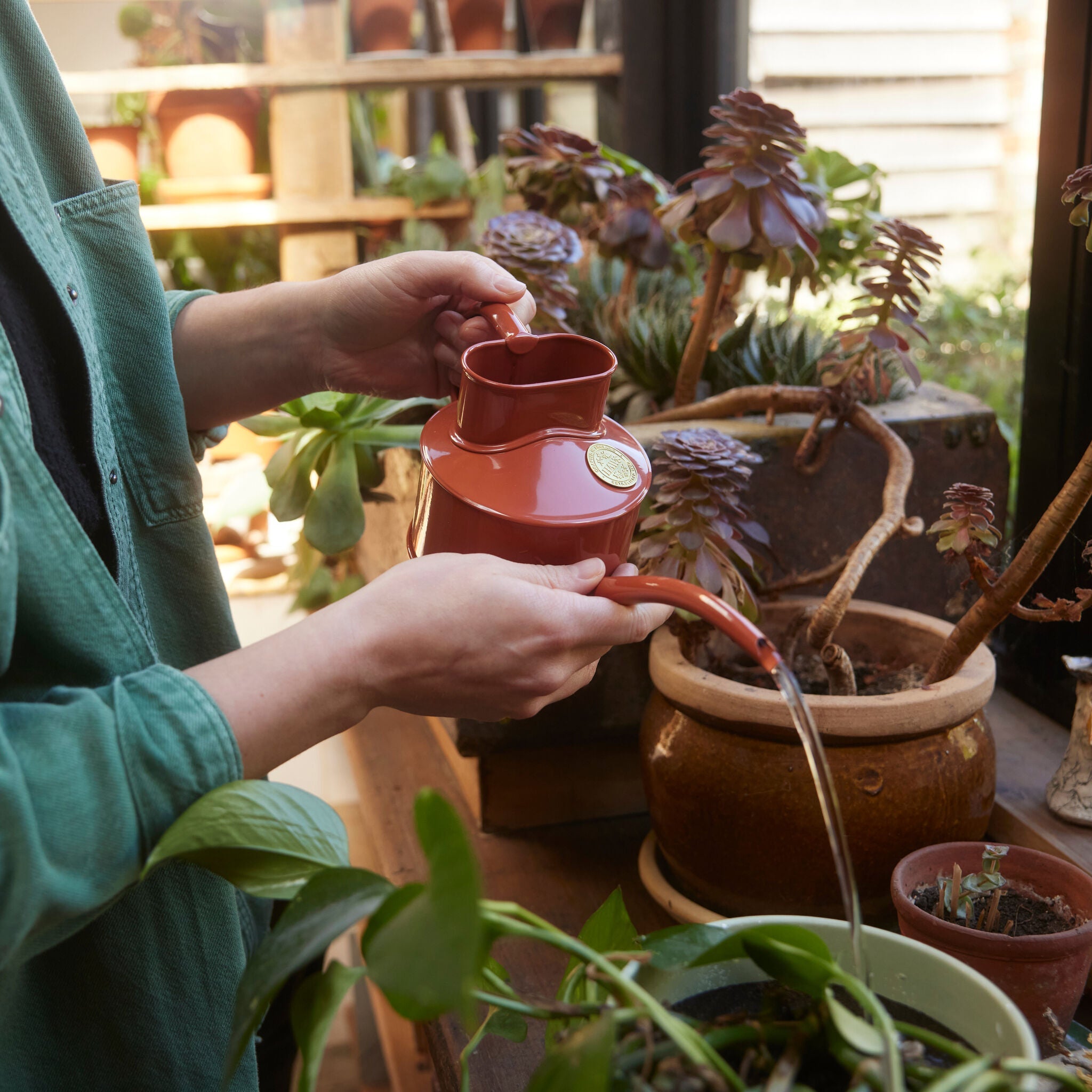 The Fazeley Flow Terracotta Orange - One Pint