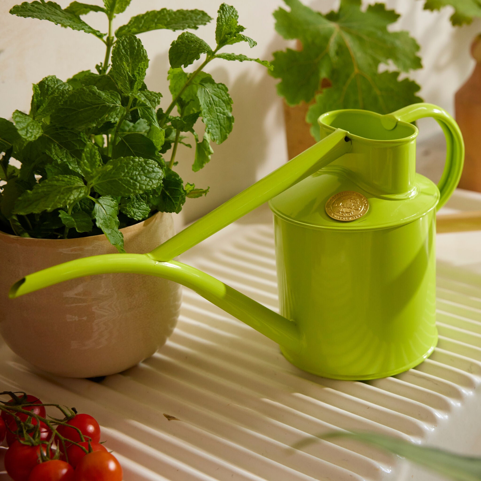 The Fazeley Flow - Apple Green - Two Pint