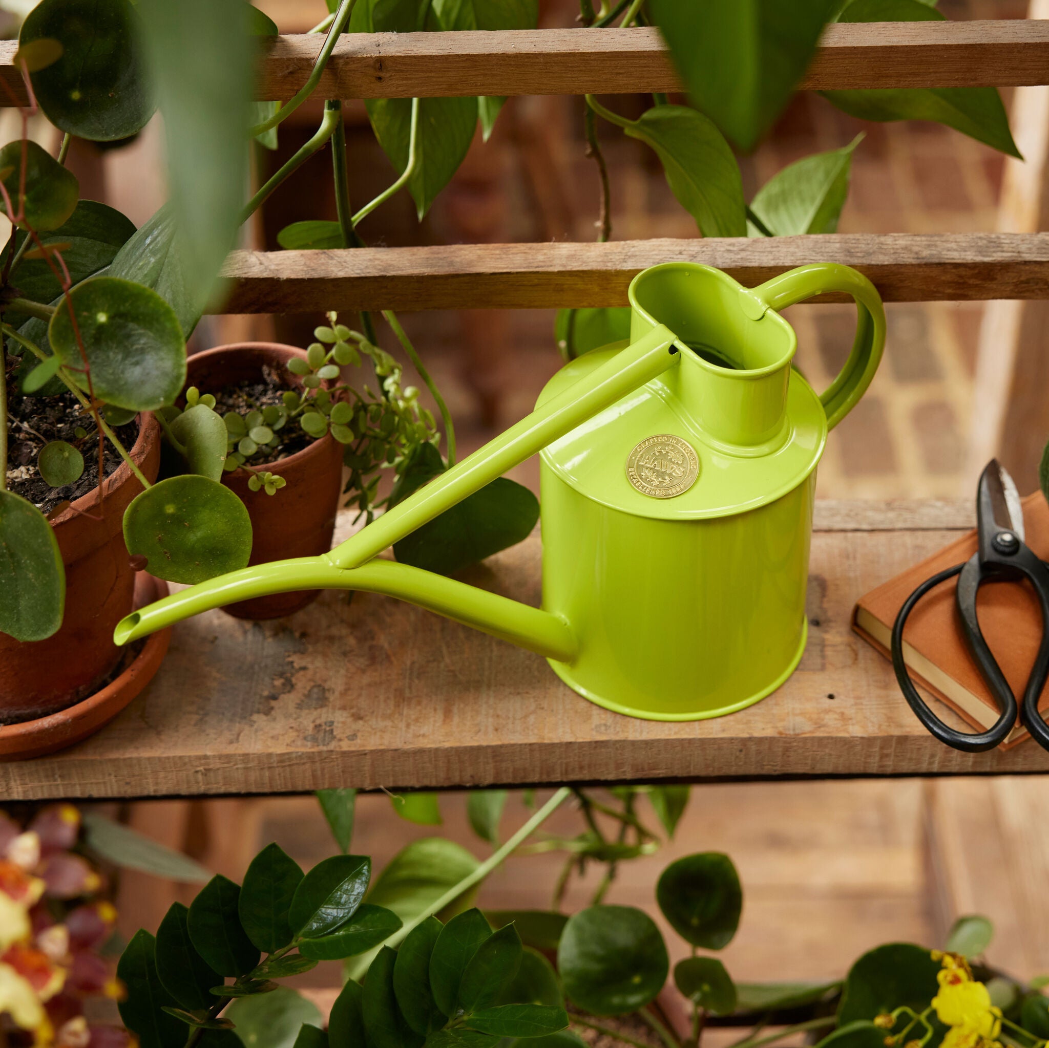 The Fazeley Flow - Apple Green - Two Pint