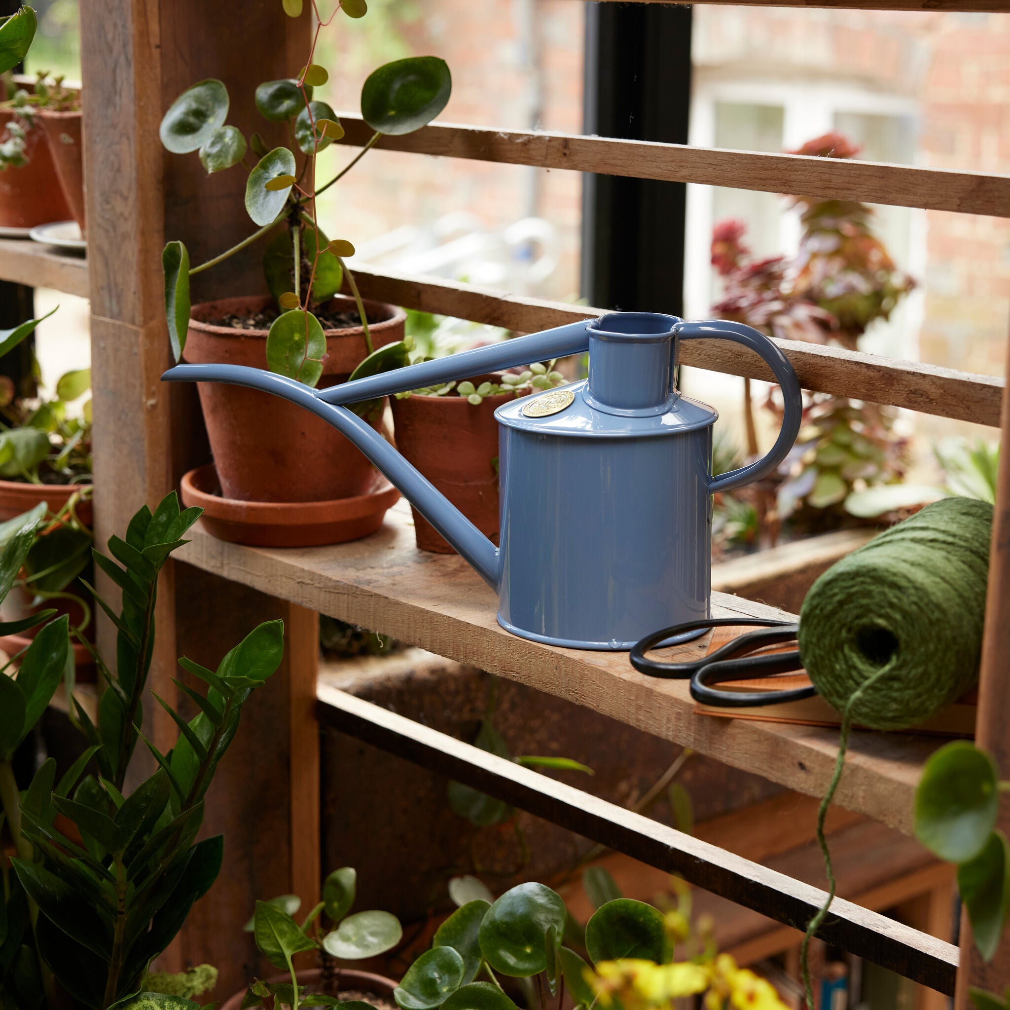 The Fazeley Flow - Bluebell Meadow - Two Pint