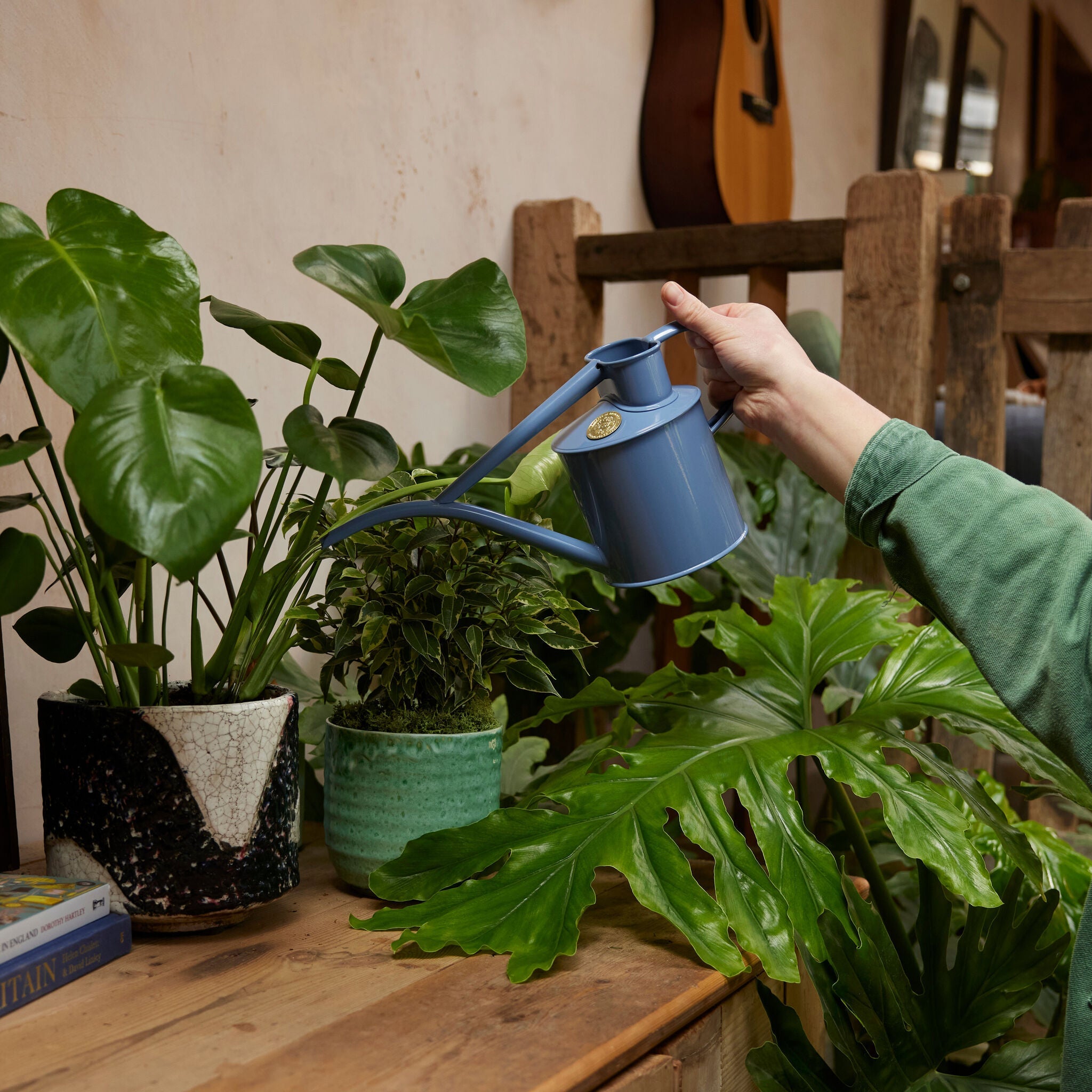The Fazeley Flow - Bluebell Meadow - Two Pint