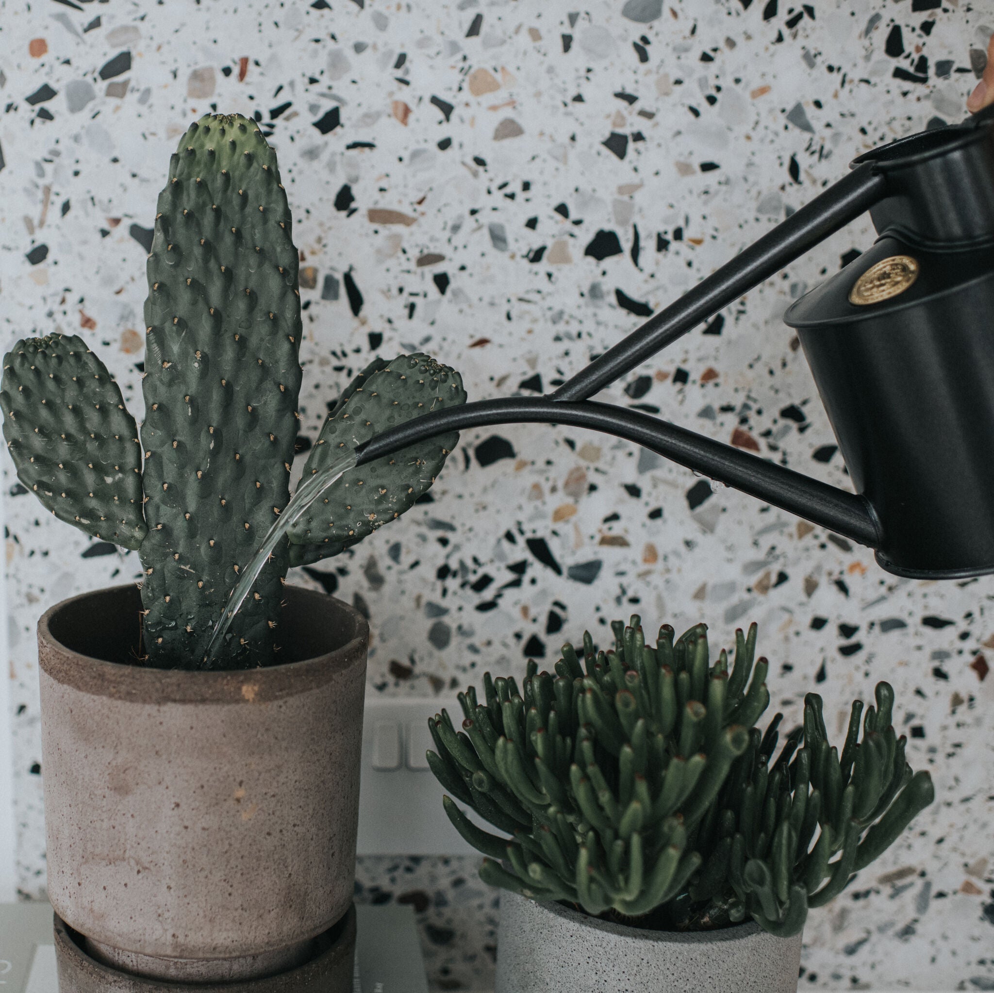 The Fazeley Flow Graphite - Two Pint