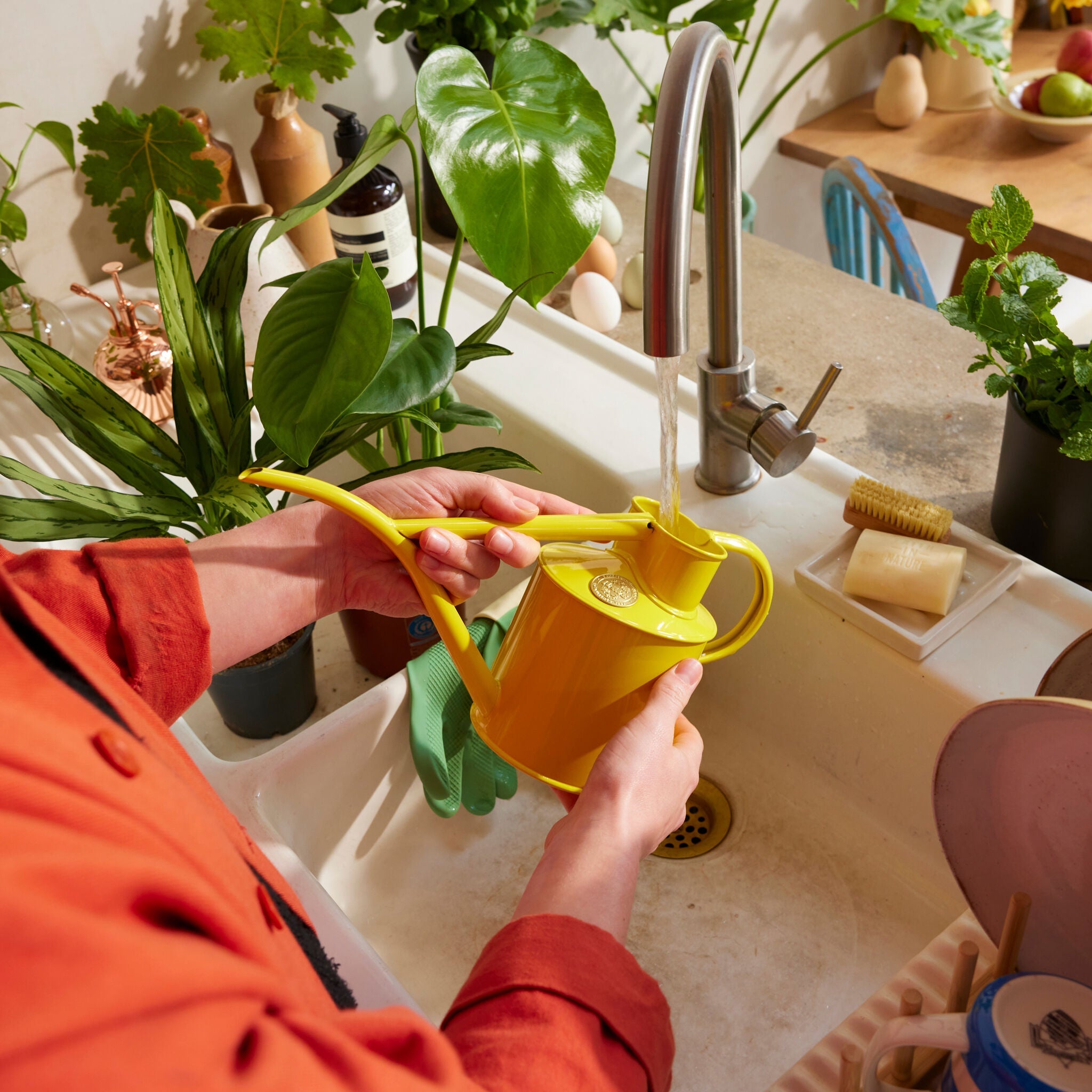 The Fazeley Flow - Lotus Yellow - Two Pint