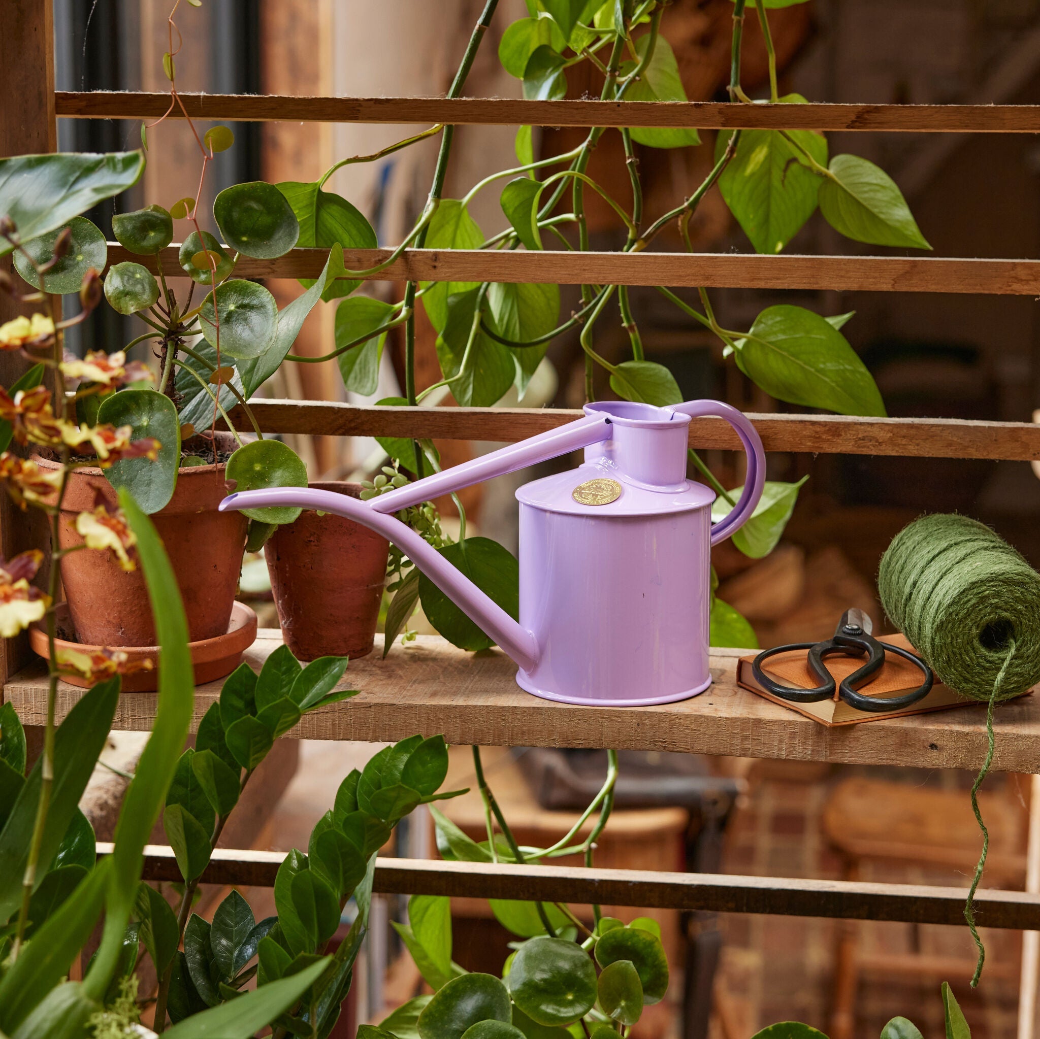 The Fazeley Flow - Misty Lilac - Two Pint