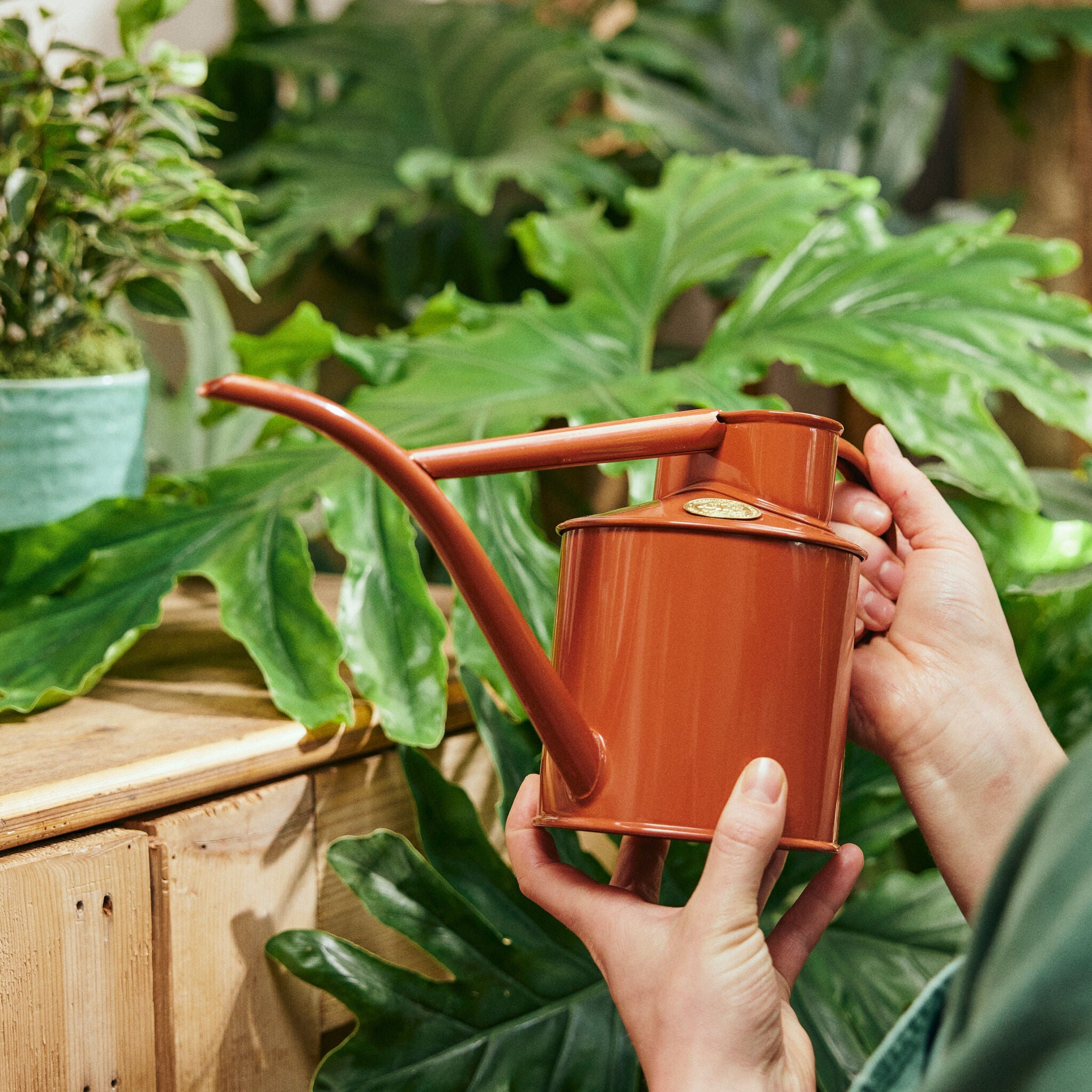 The Fazeley Flow - Terracotta Orange - Two Pint