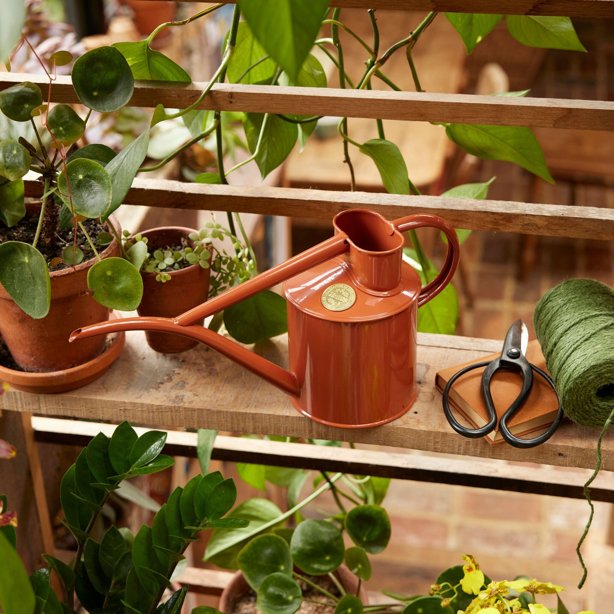 The Fazeley Flow - Terracotta Orange - Two Pint