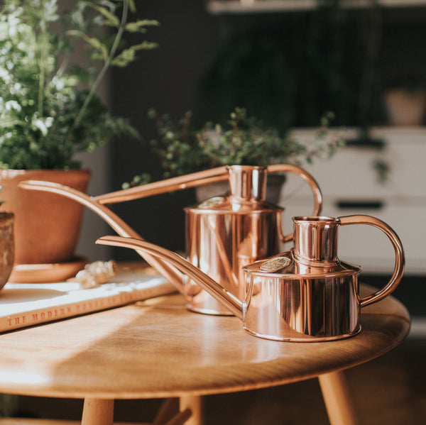 Classic Haws watering can in action