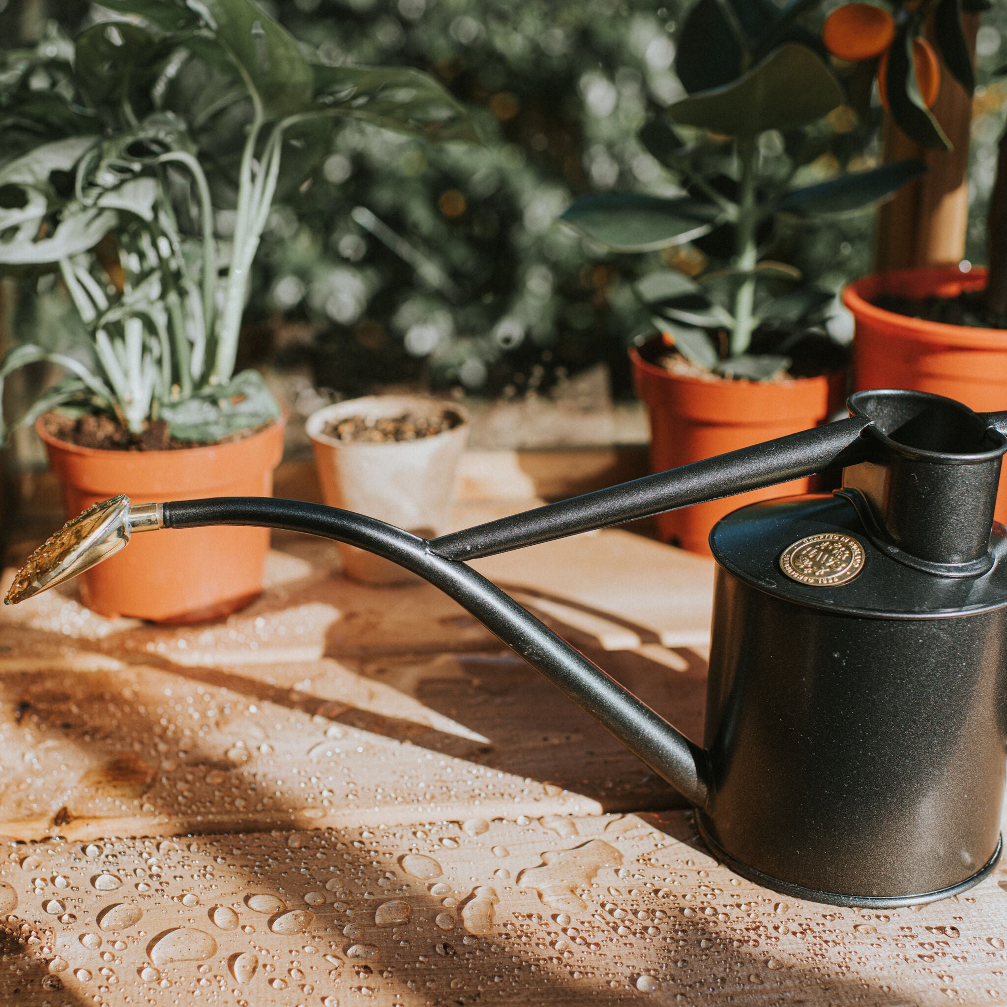 The Rowley Ripple Graphite - Two Pint