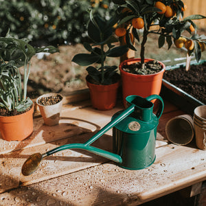 The Rowley Ripple Green - Two Pint