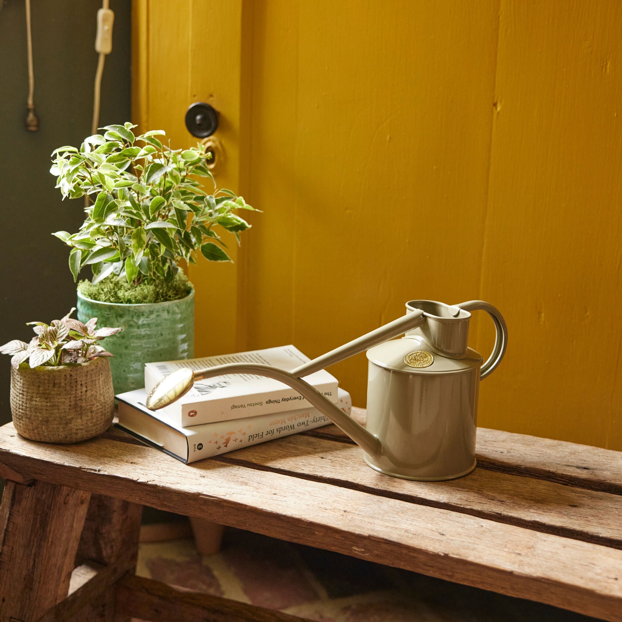 The Rowley Ripple - Lichen Green - Two Pint