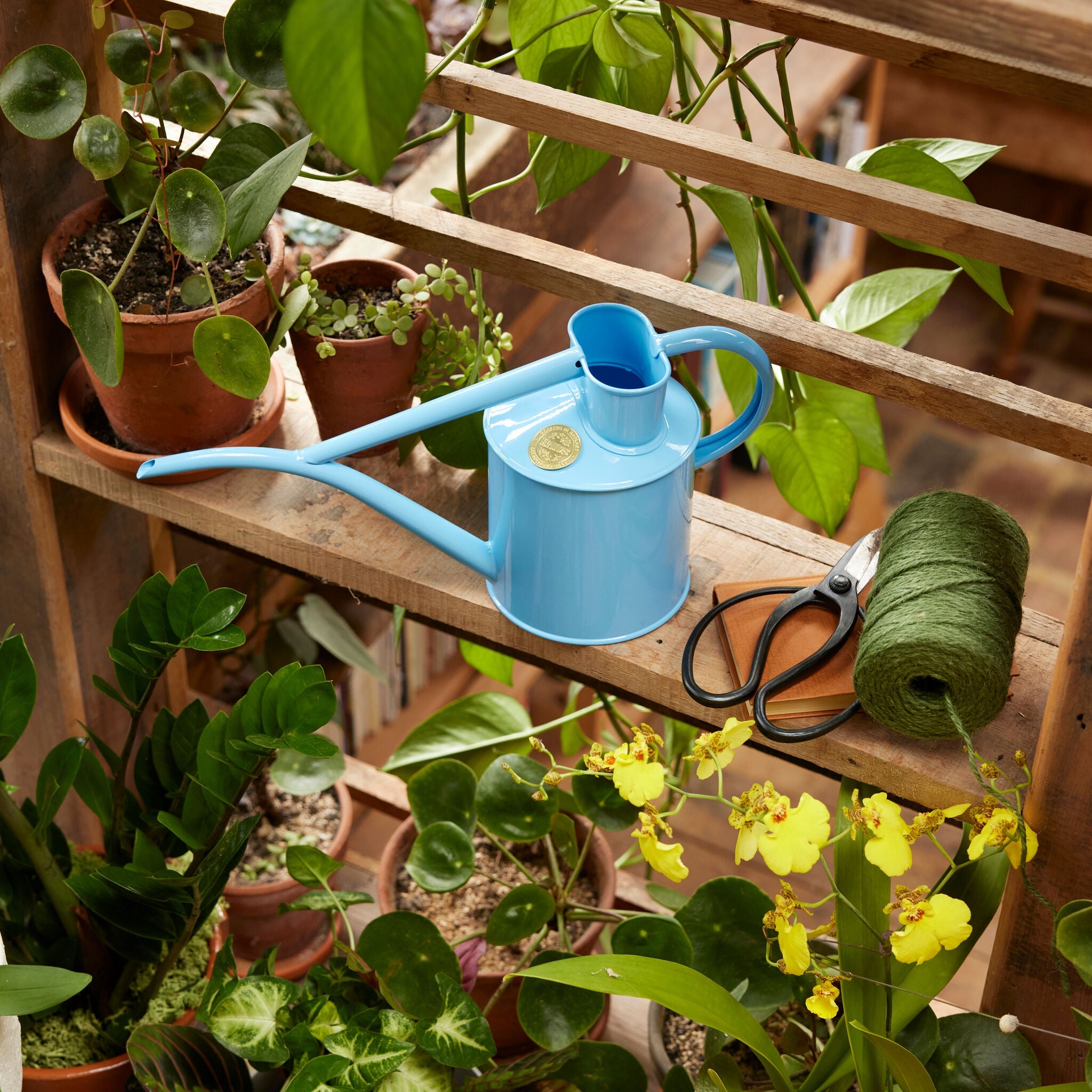 The Fazeley Flow - Summer Sky Blue - Two Pint