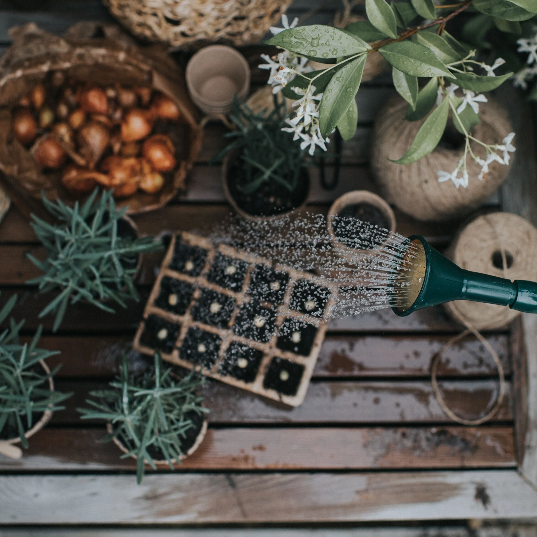 The Cradley Cascader - Growing Kit - One & a Half Gallon