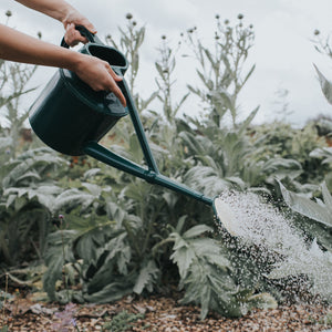 The Cradley Cascader - Starter Kit - One & a Half Gallon