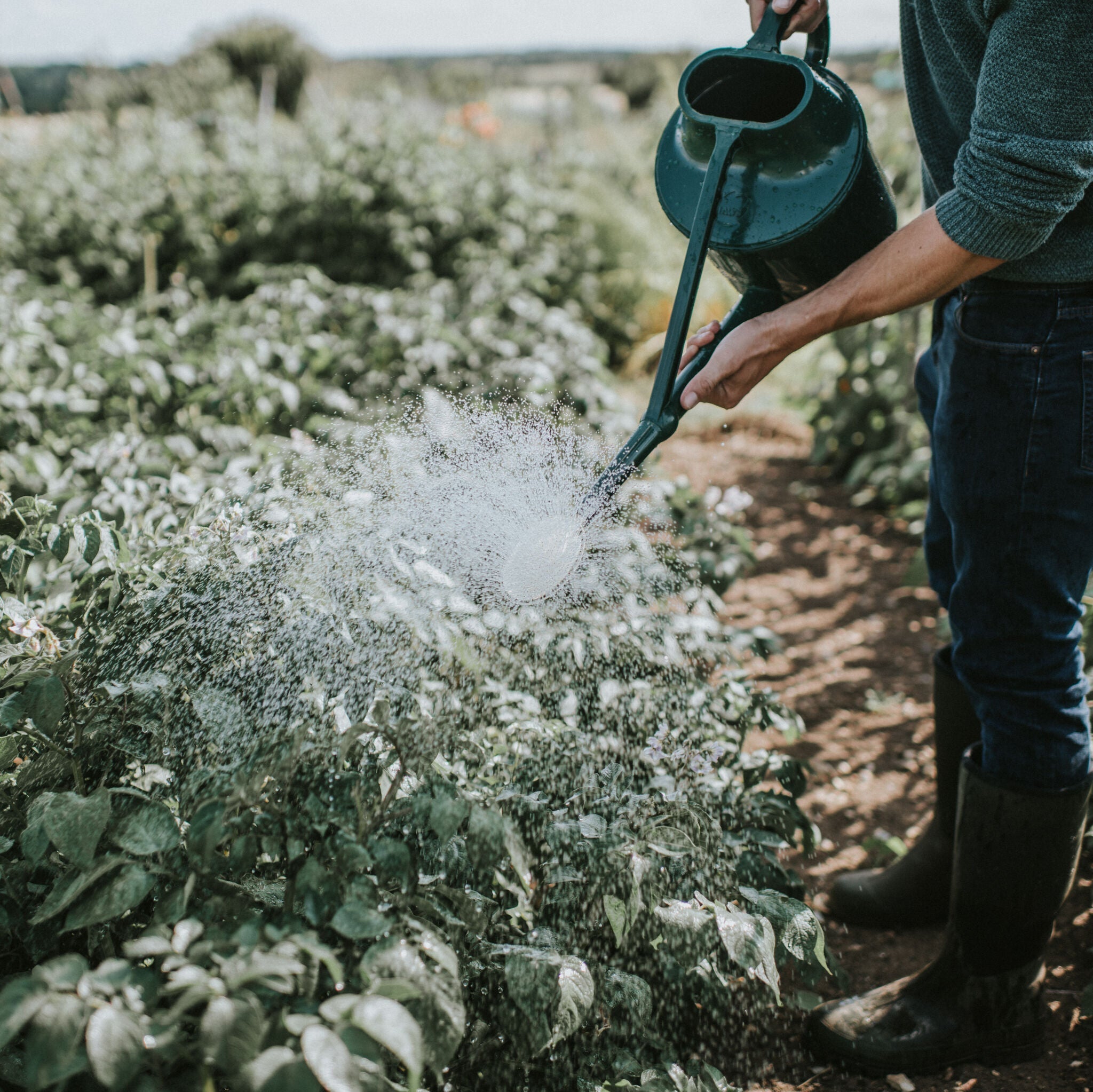 The Cradley Deluxe - Full Monty Kit - One & a Half Gallon