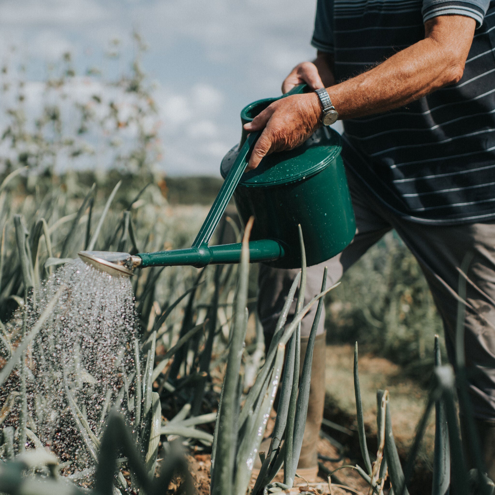 The Cradley Deluxe - Starter Kit - One & a Half Gallon