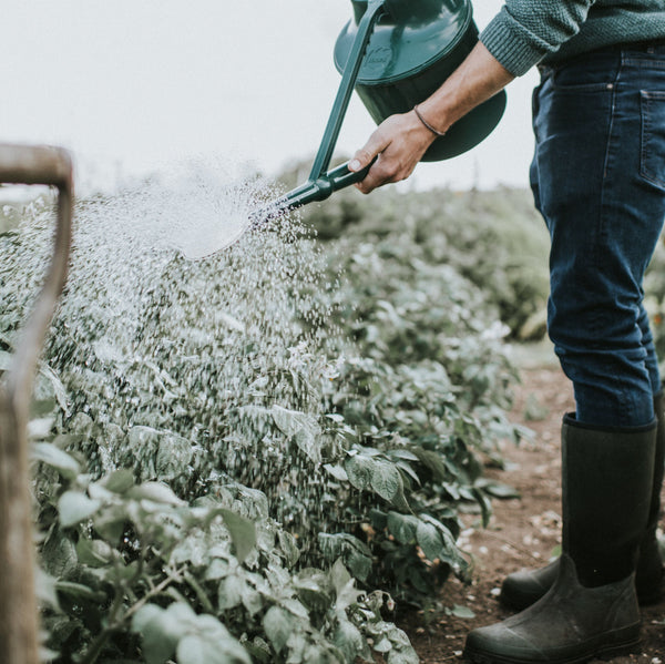 The Cradley Cascader