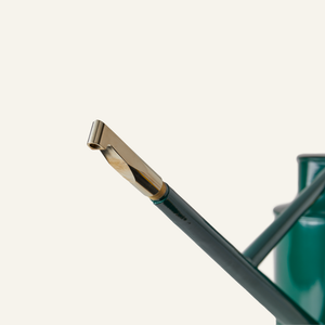 Brass Downspout